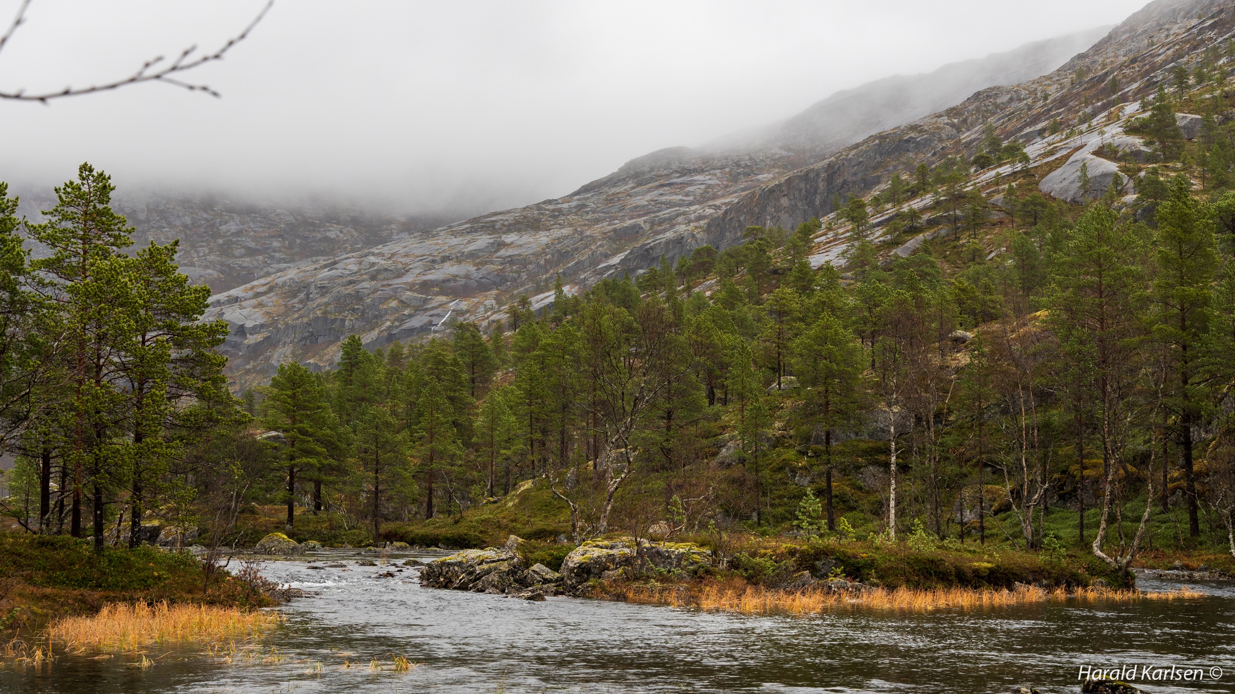 Lakselvvannet-9.jpg