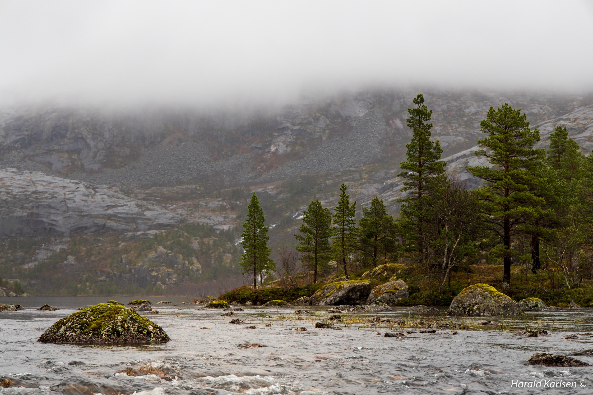 Lakselvvannet-8.jpg