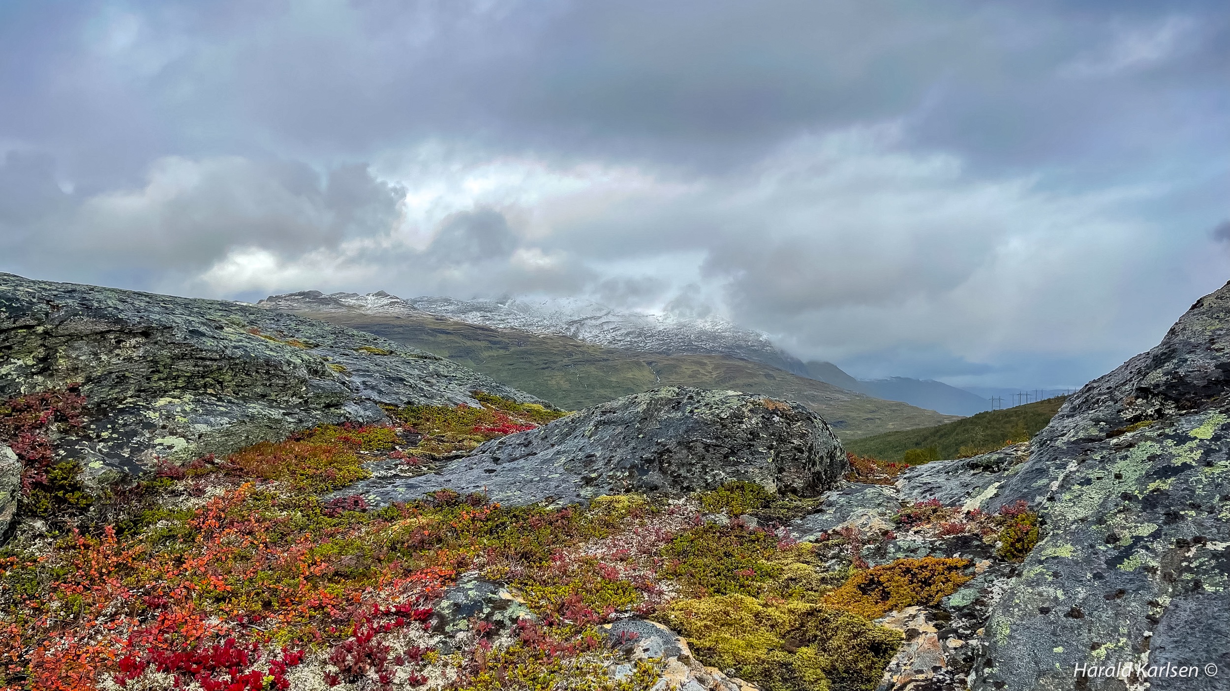 Autumn-9.jpg