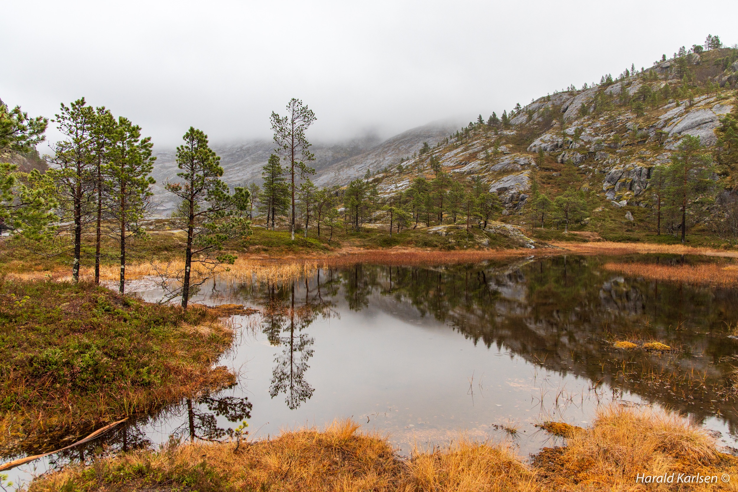 Lakselvvannet-2.jpg