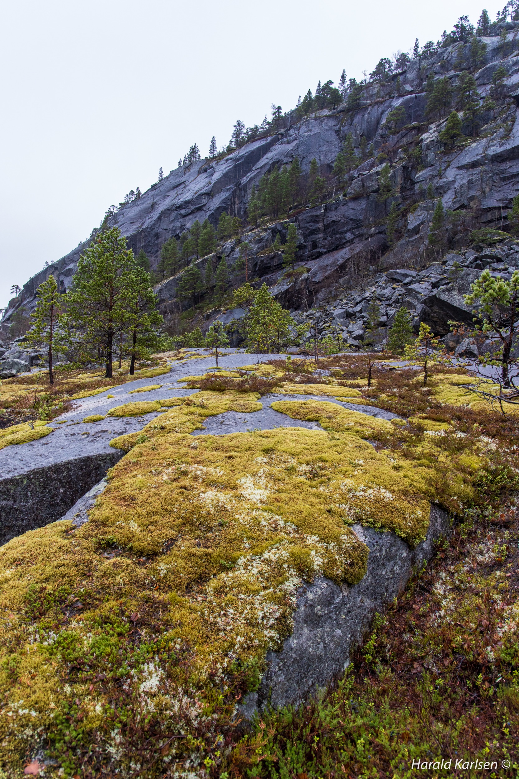 Lakselvvannet-5.jpg