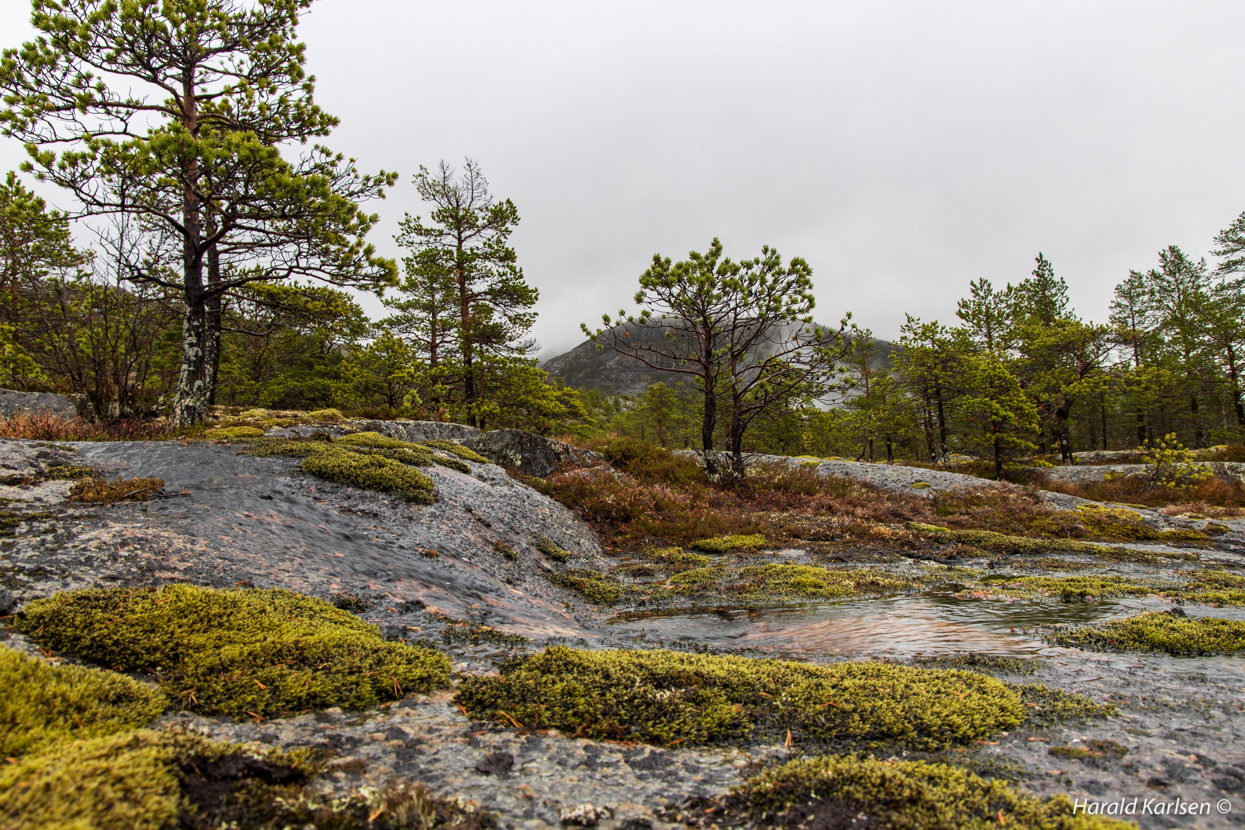 Lakselvvannet-13.jpg
