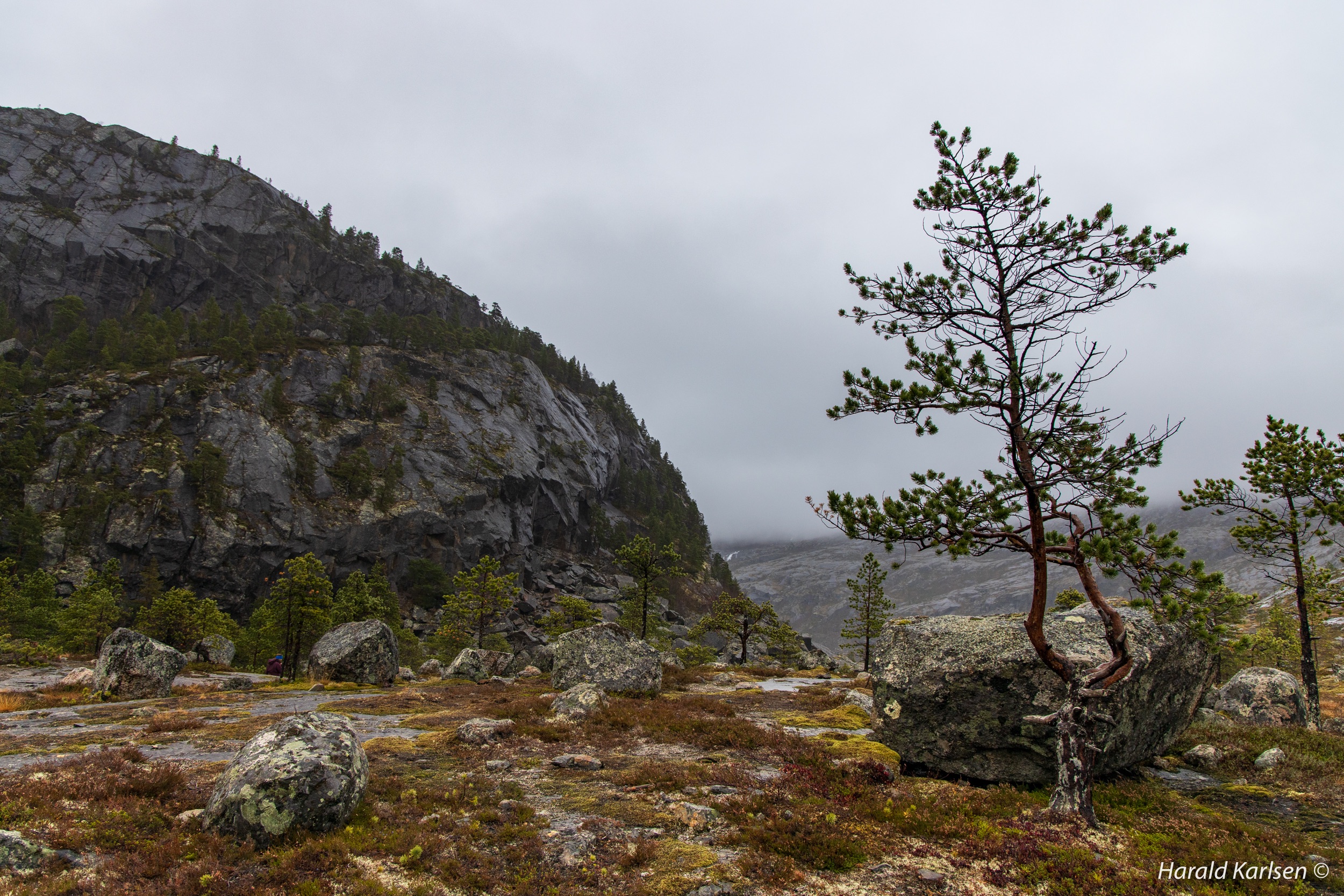 Lakselvvannet.jpg