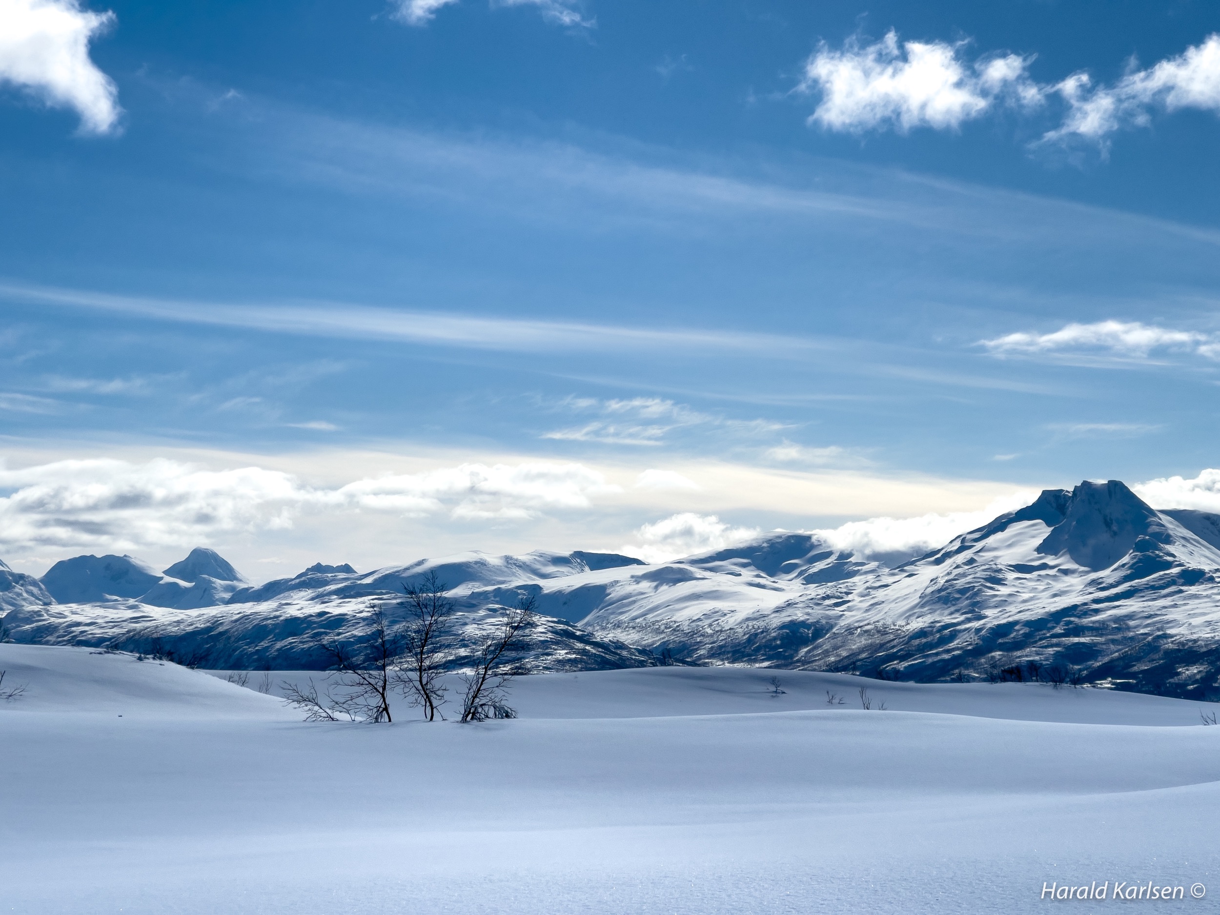 Winter-3.jpg