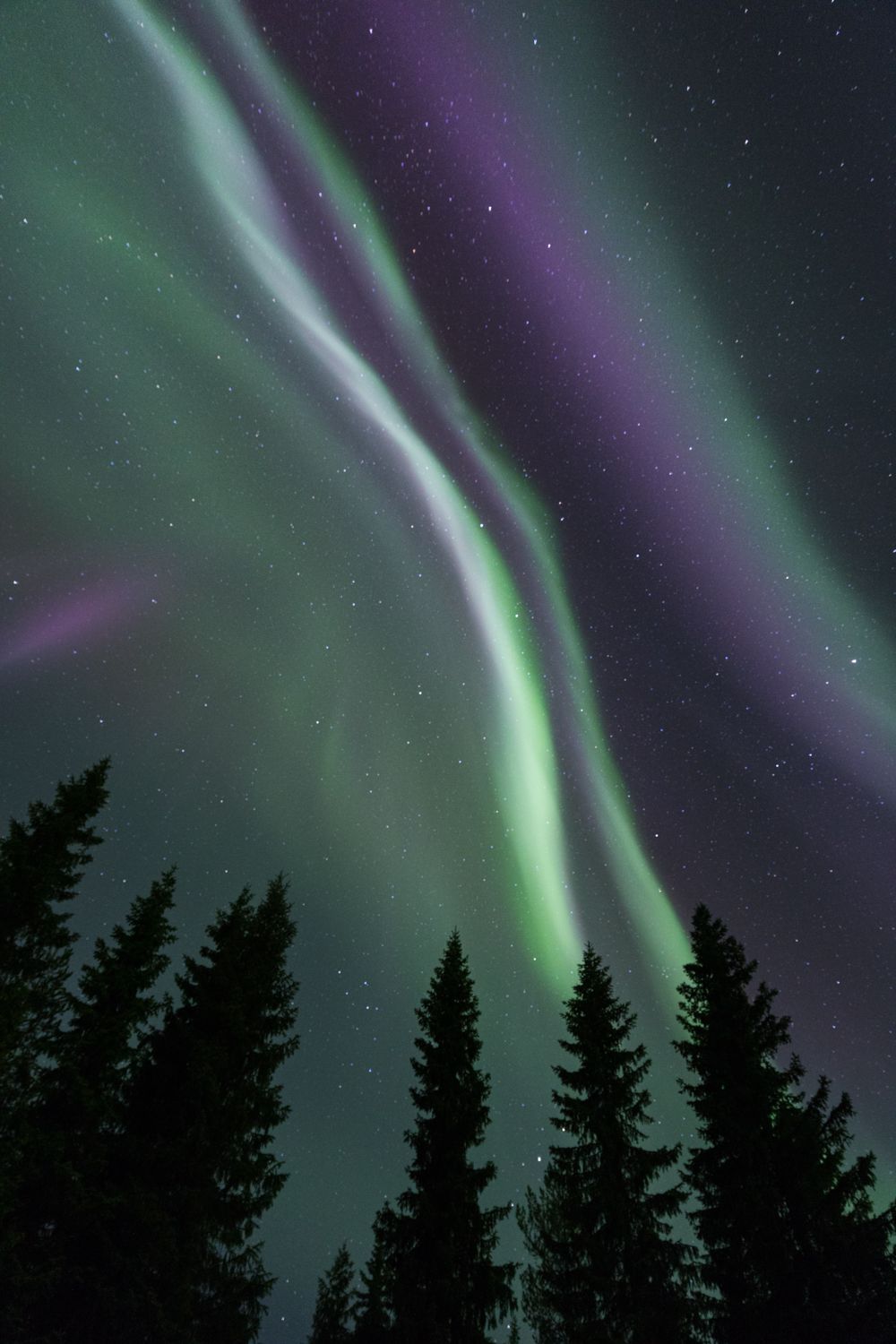 A geomagnetic storm occurs after a coronal mass ejection and is often characterized by a spectacular, fast and colorful auroral display. Canon 24 mm | F/2.8 | 6 sec | ISO 1600