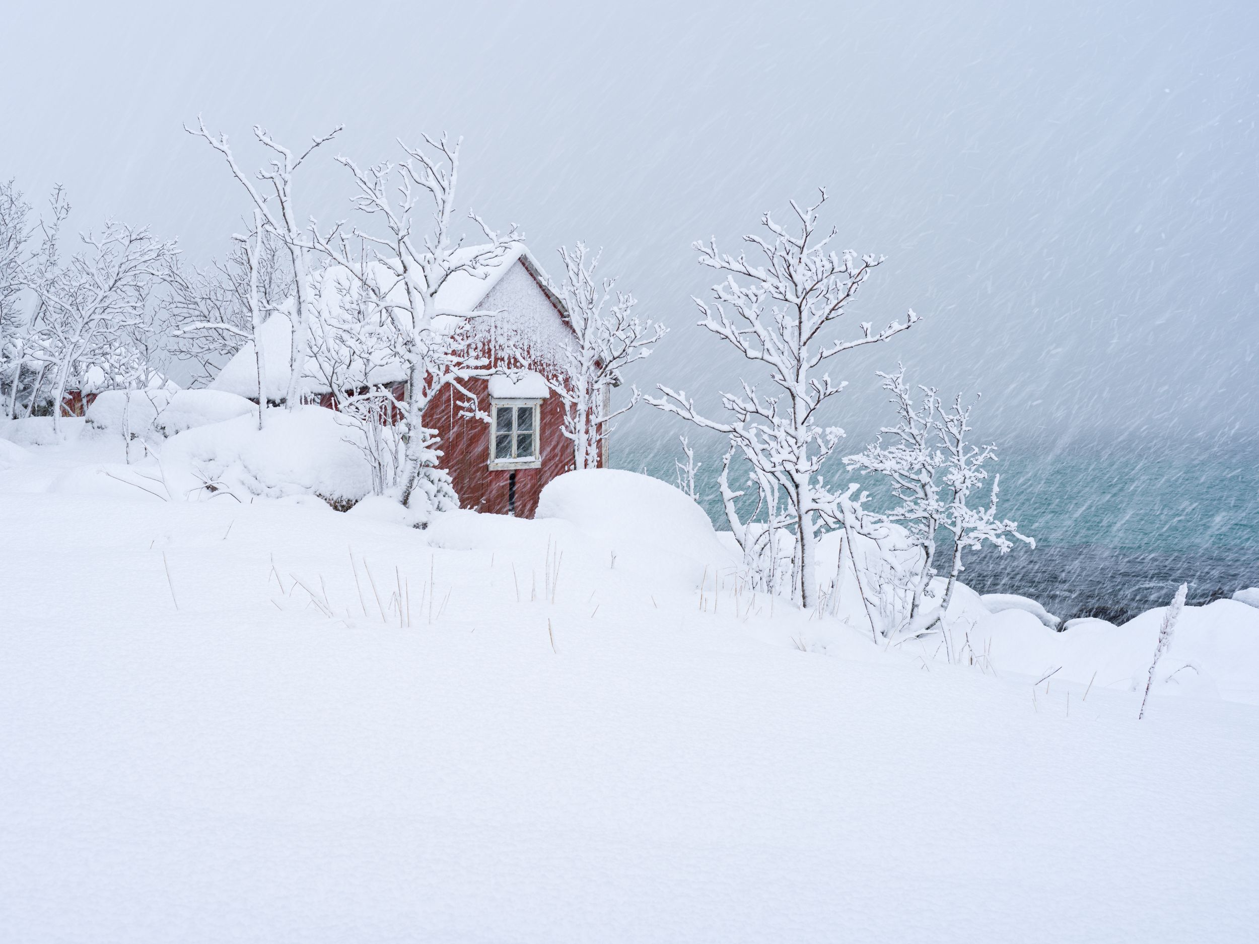 In Norway, Yr.no helps me to predict the snowfall and tells me the amount of snow on the ground.