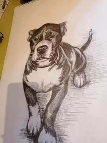 received_145016094213401.jpeg