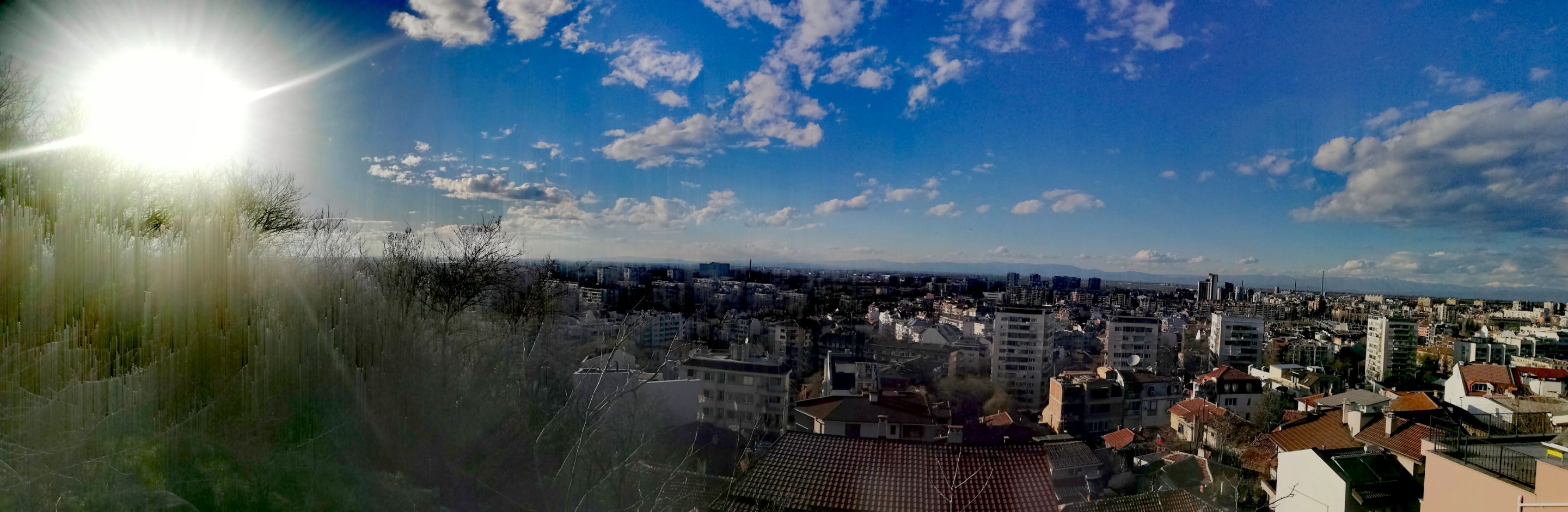 IMG_20210312_175220.jpg