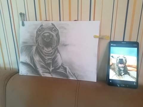 received_270885377990021.jpeg