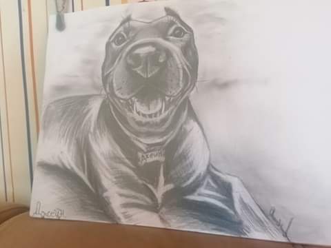 received_447206859688123.jpeg