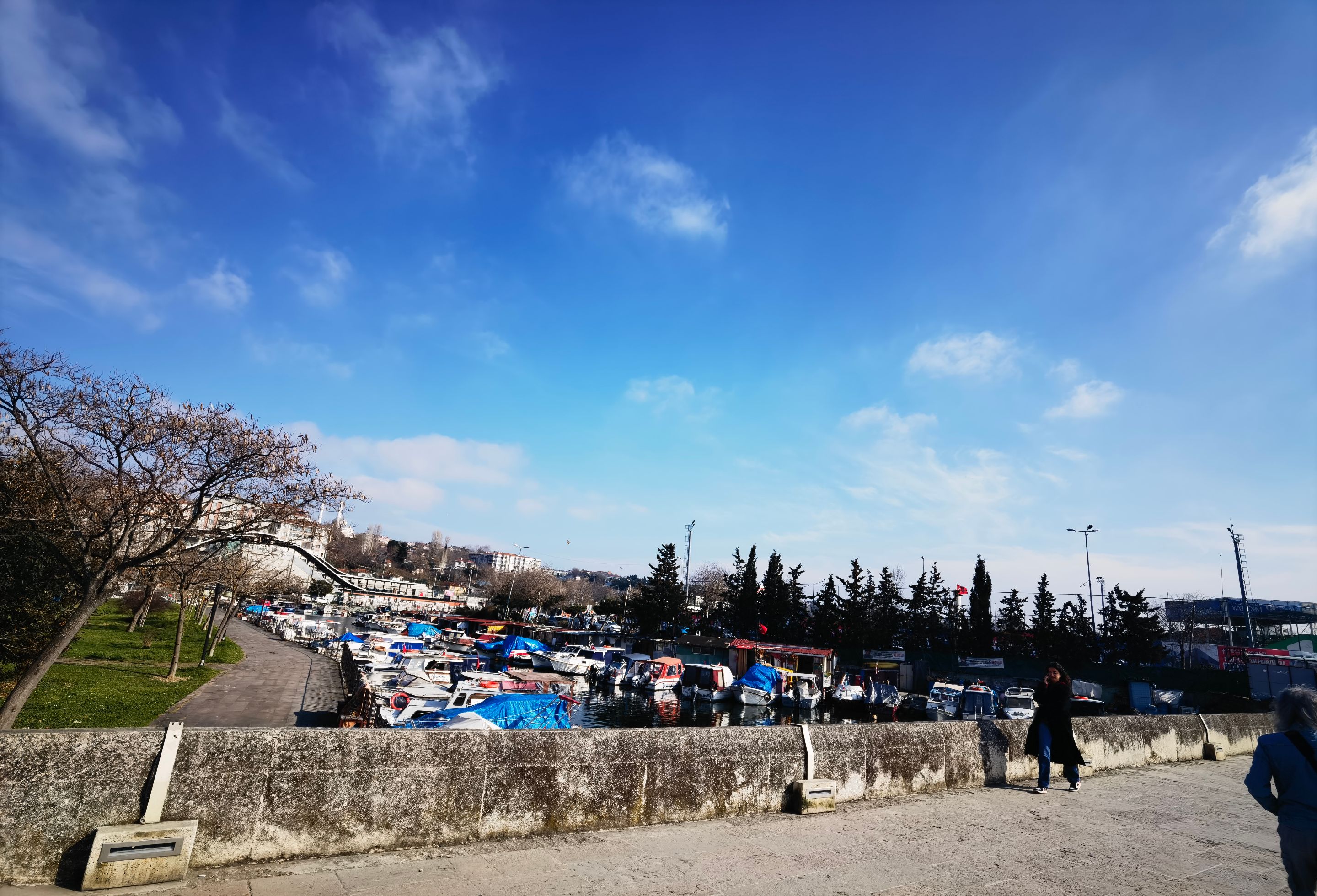 IMG_20250308_145359.jpg