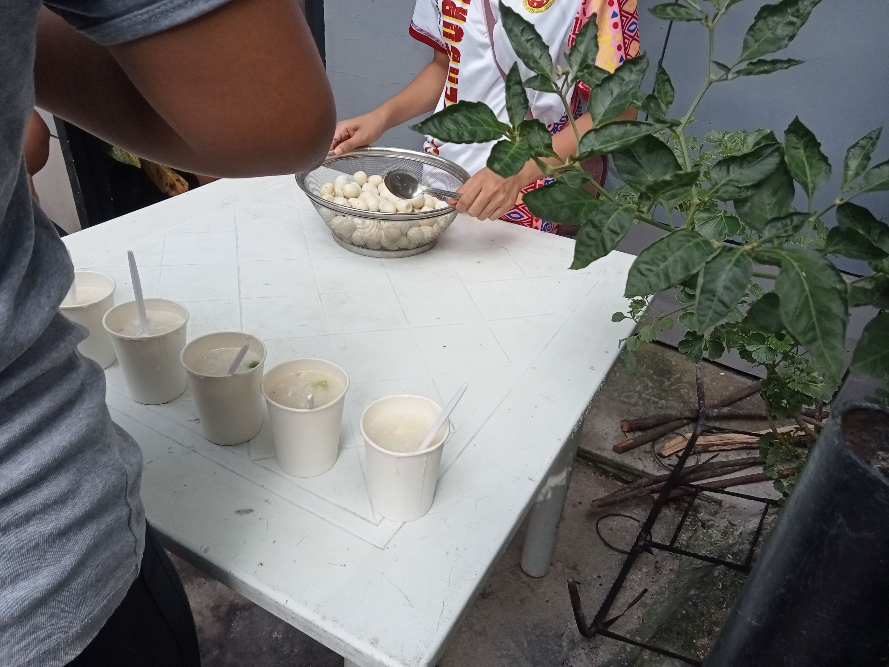 IMG20240721143917.jpg