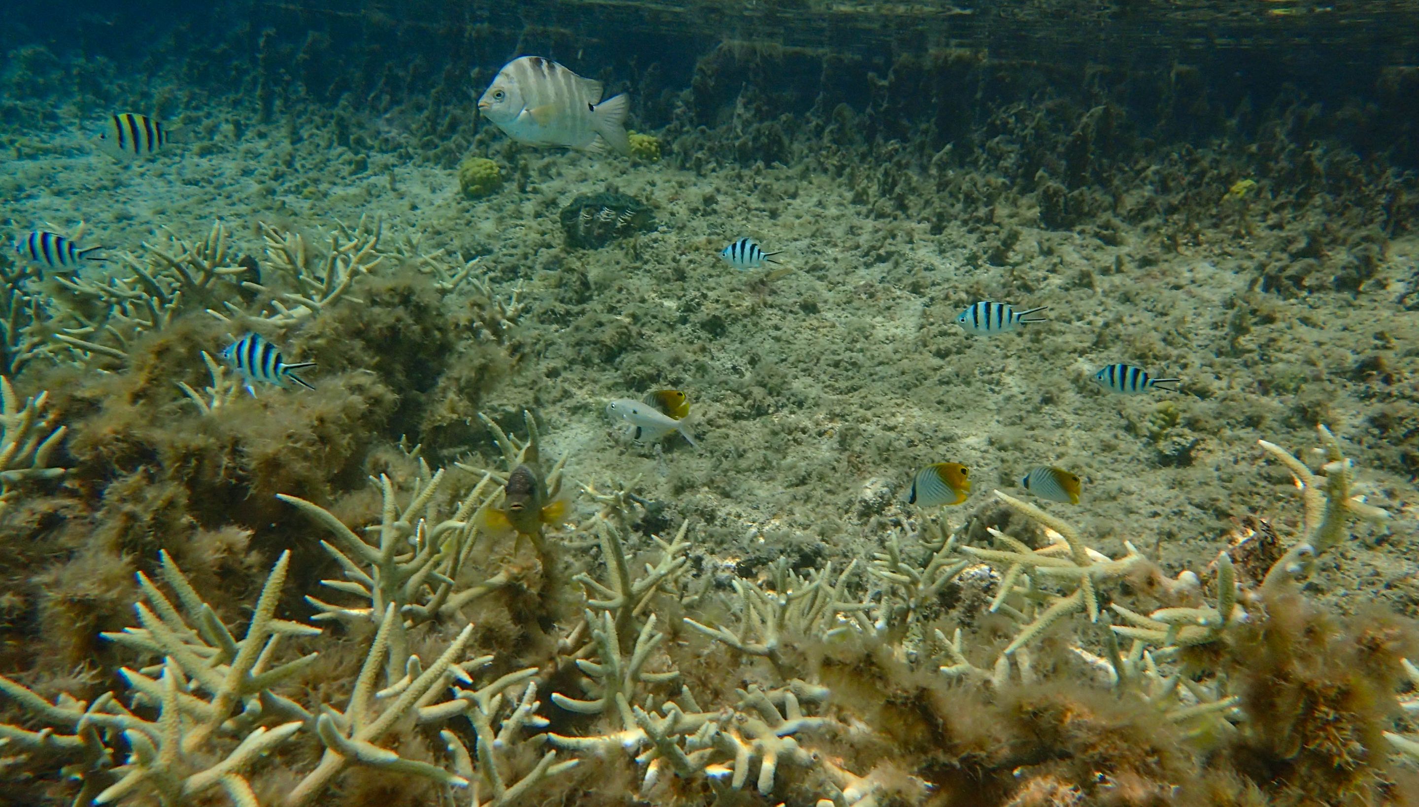 Natural Pool Below 1.jpg