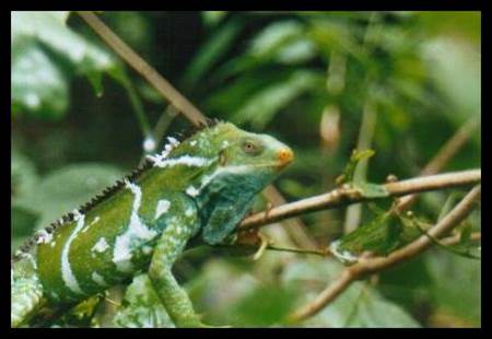 21st  of October 2002.jpg