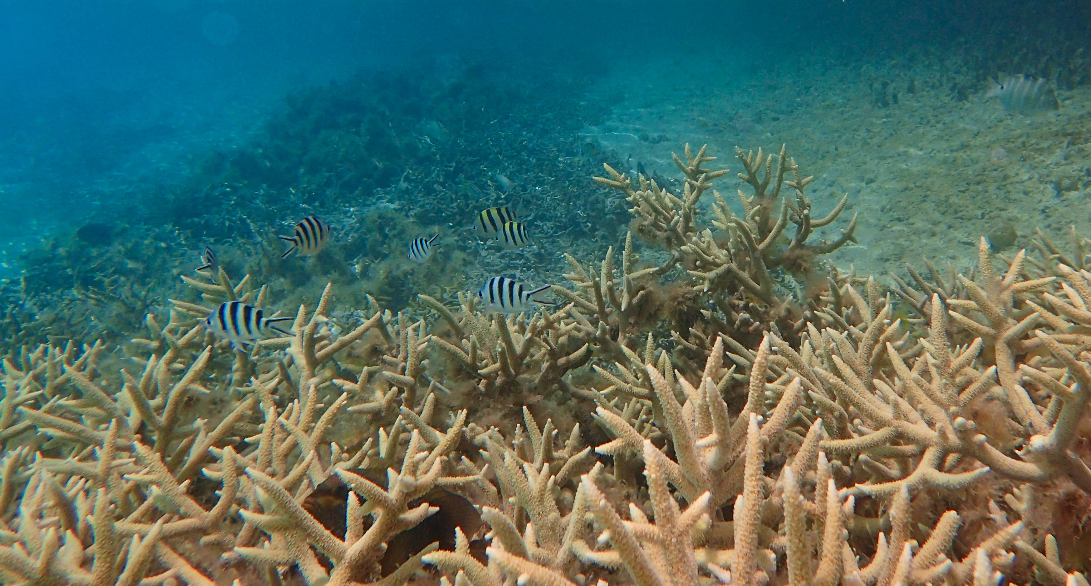 Natural Pool Below 2.jpg