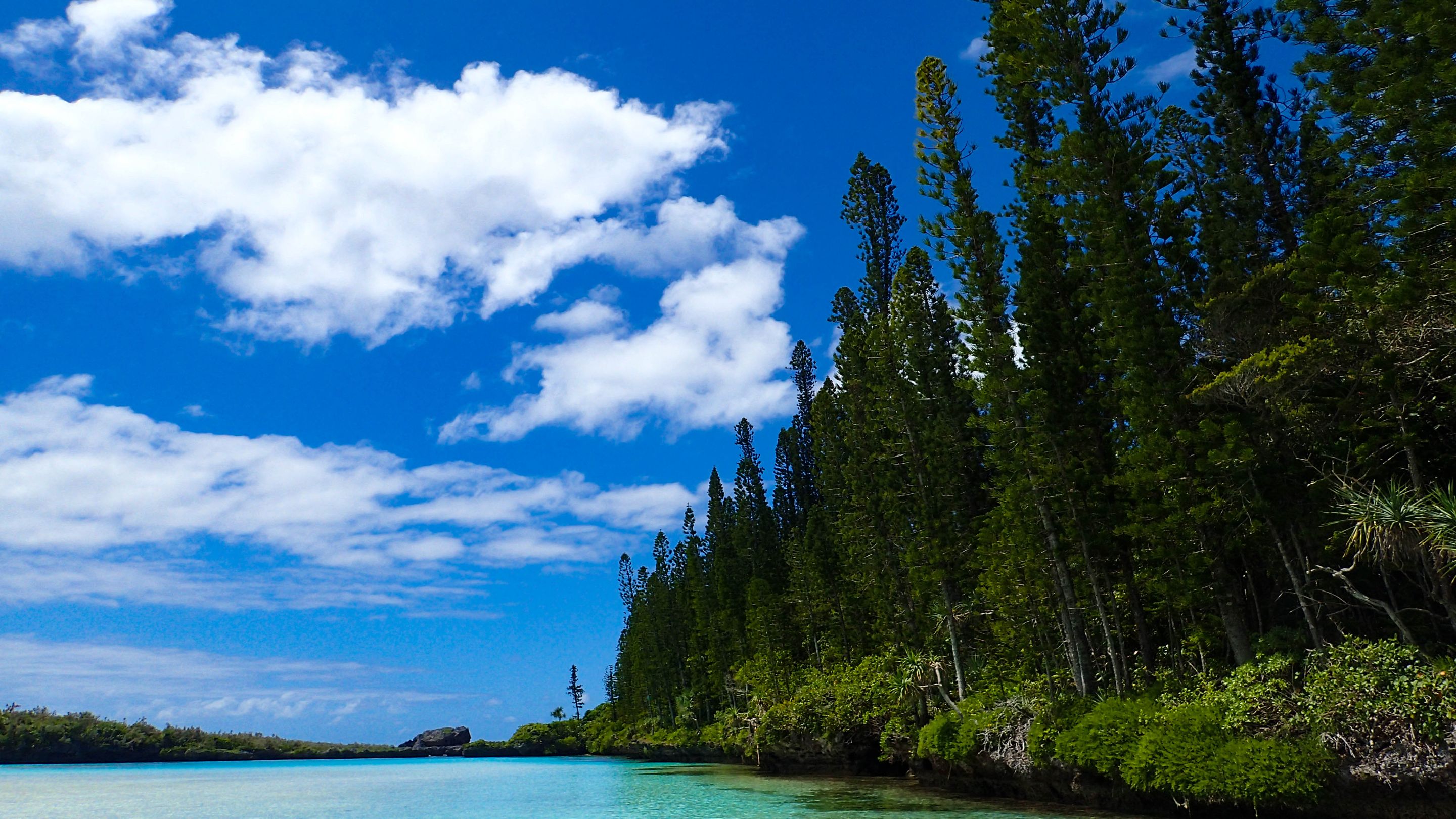 Natural Pool Above 4.jpg