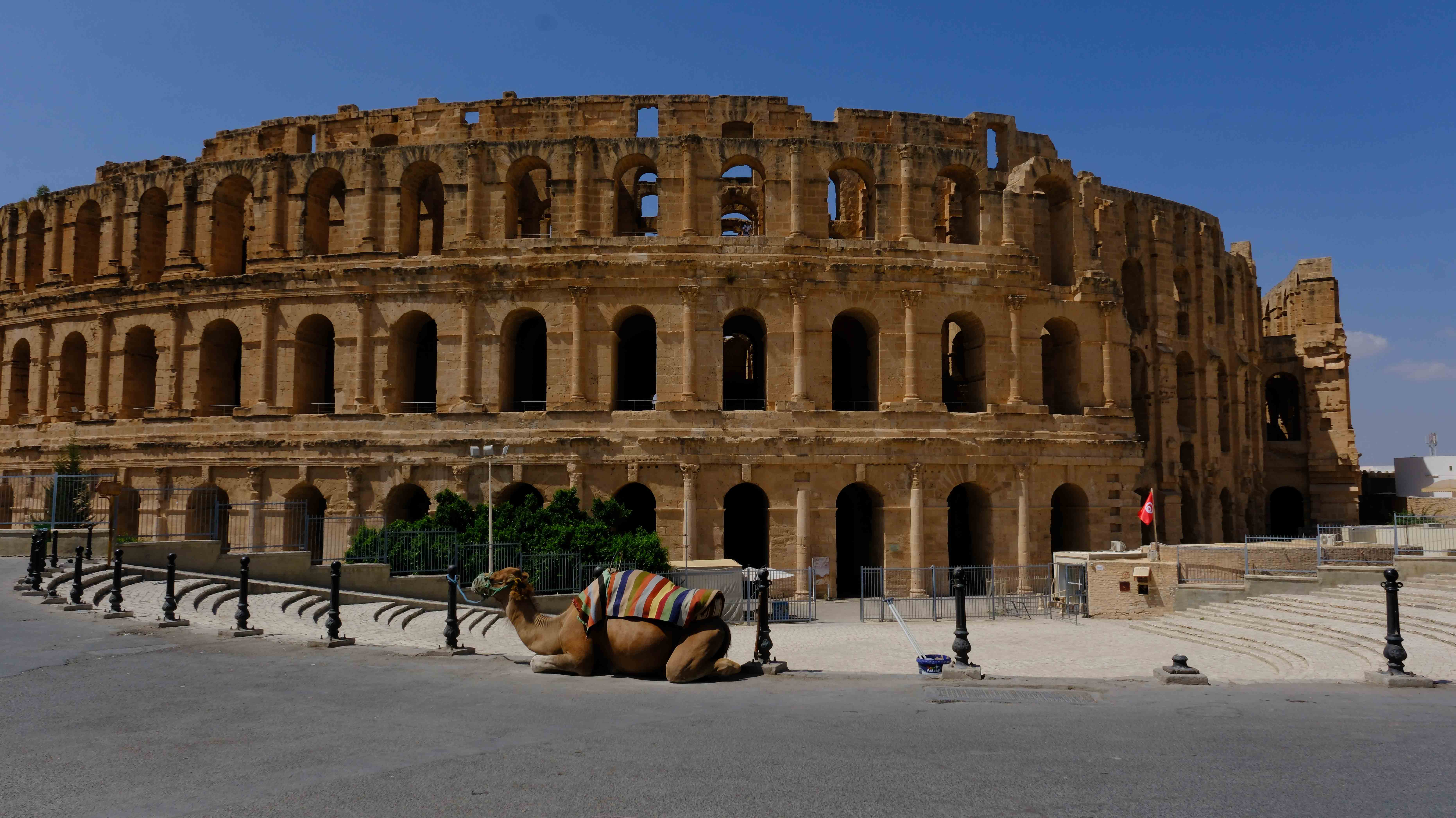 El Jem Amphitheatre with Camel.jpg