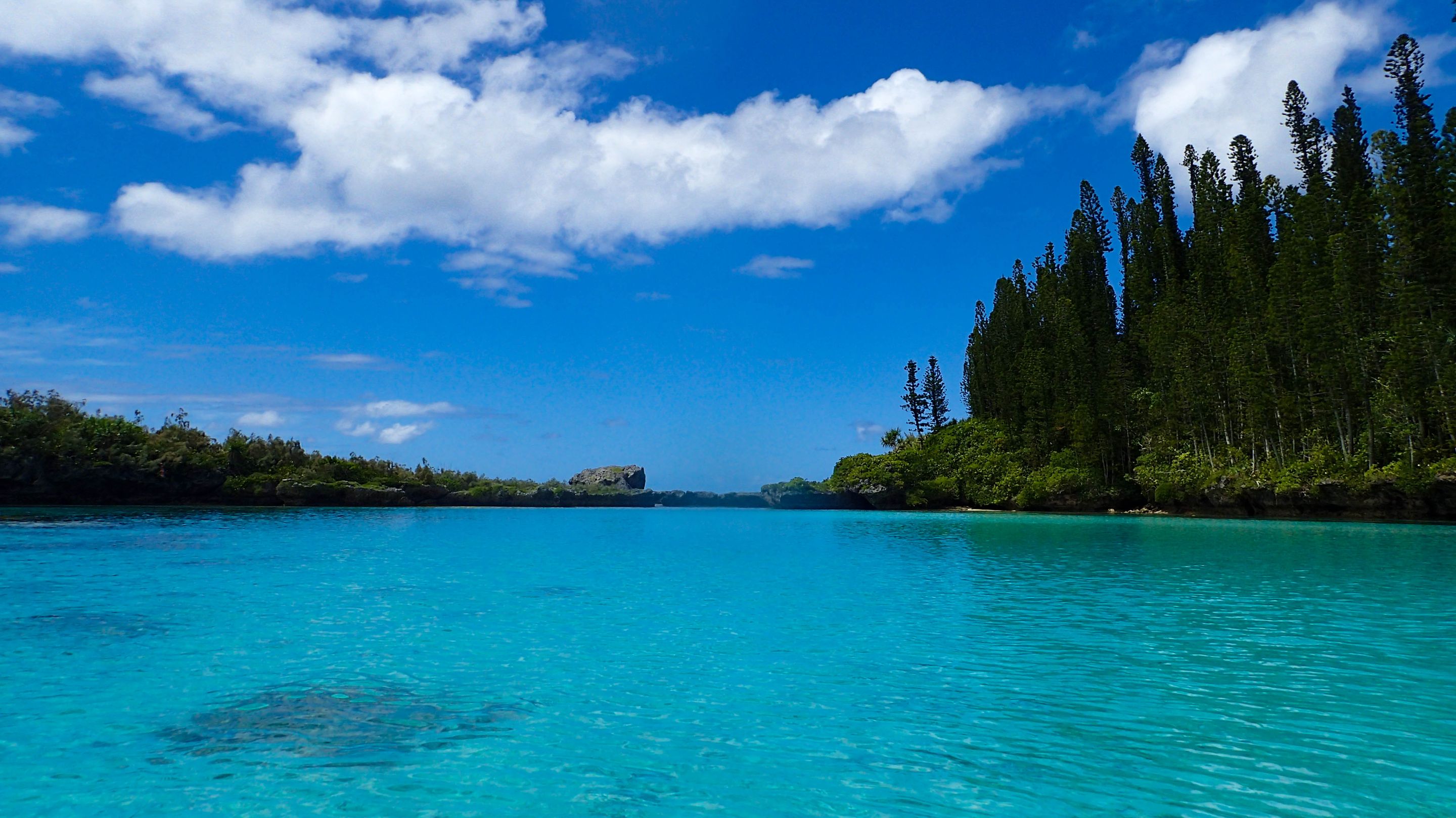Natural Pool Above 8.jpg
