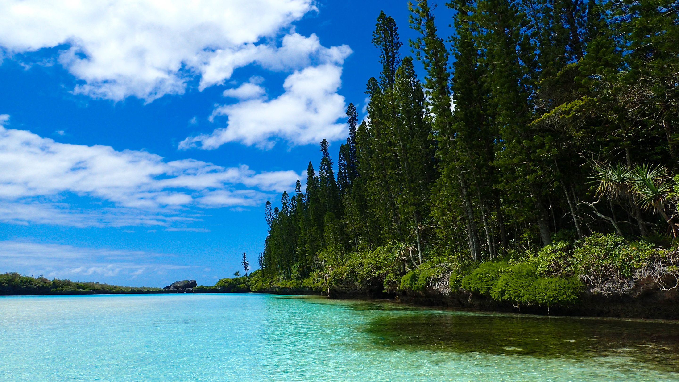 Natural Pool Above 5.jpg