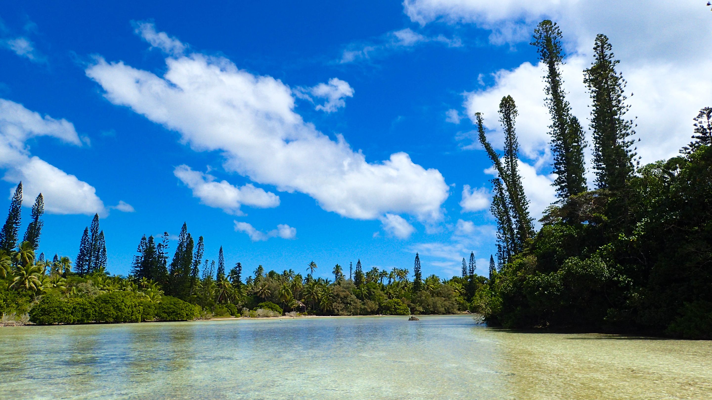 Natural Pool Above 1.jpg