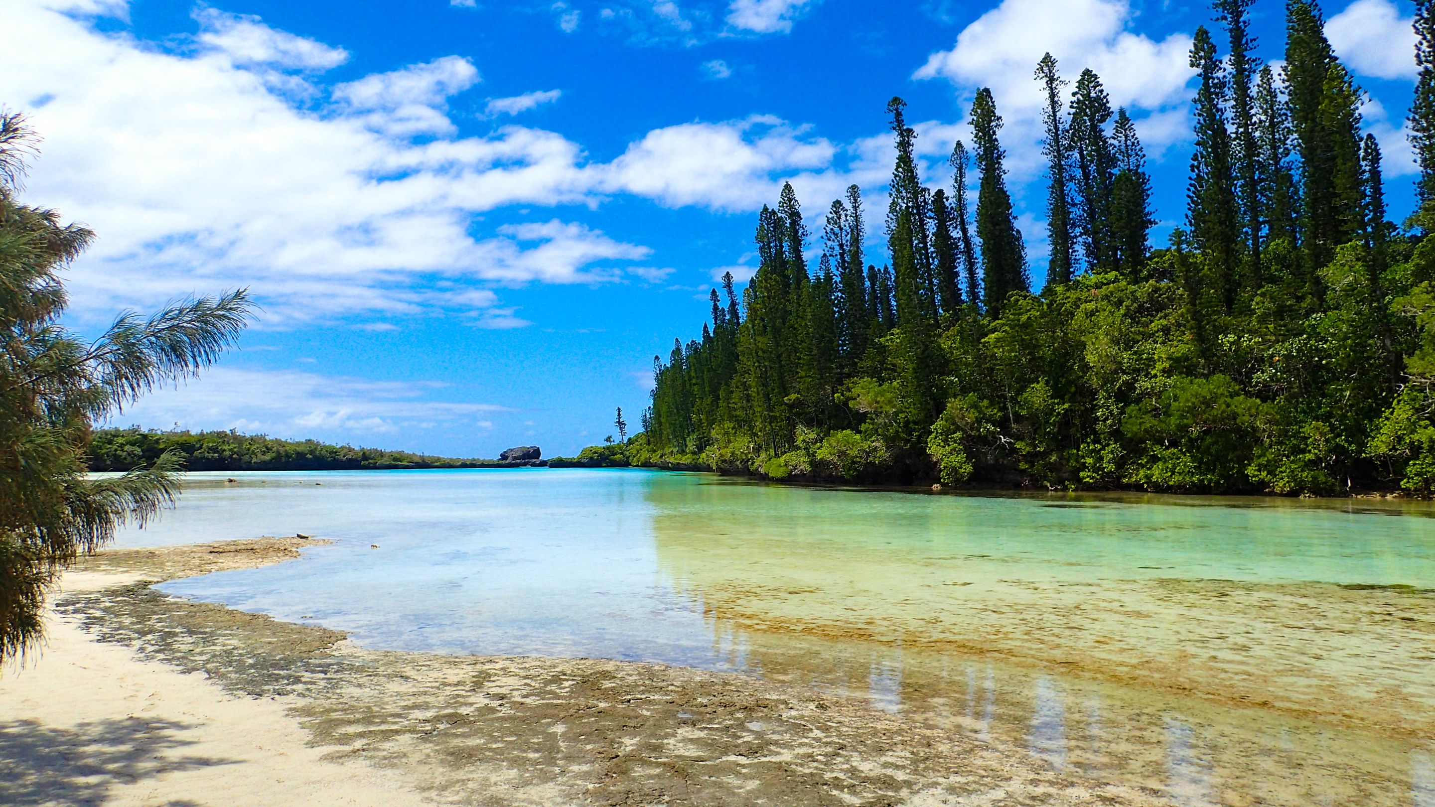Natural Pool Above 3.jpg