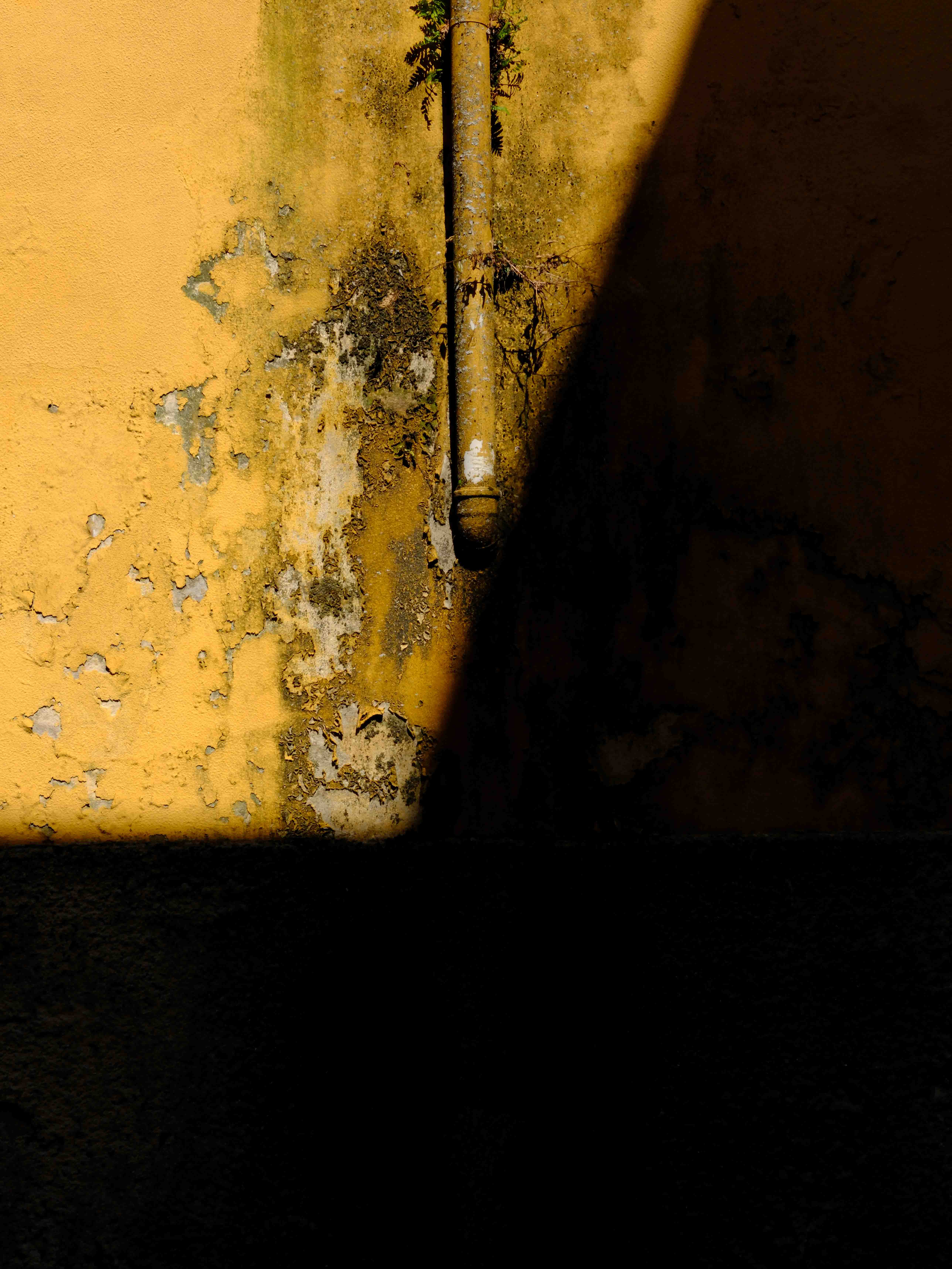 light (1 of 1).jpg