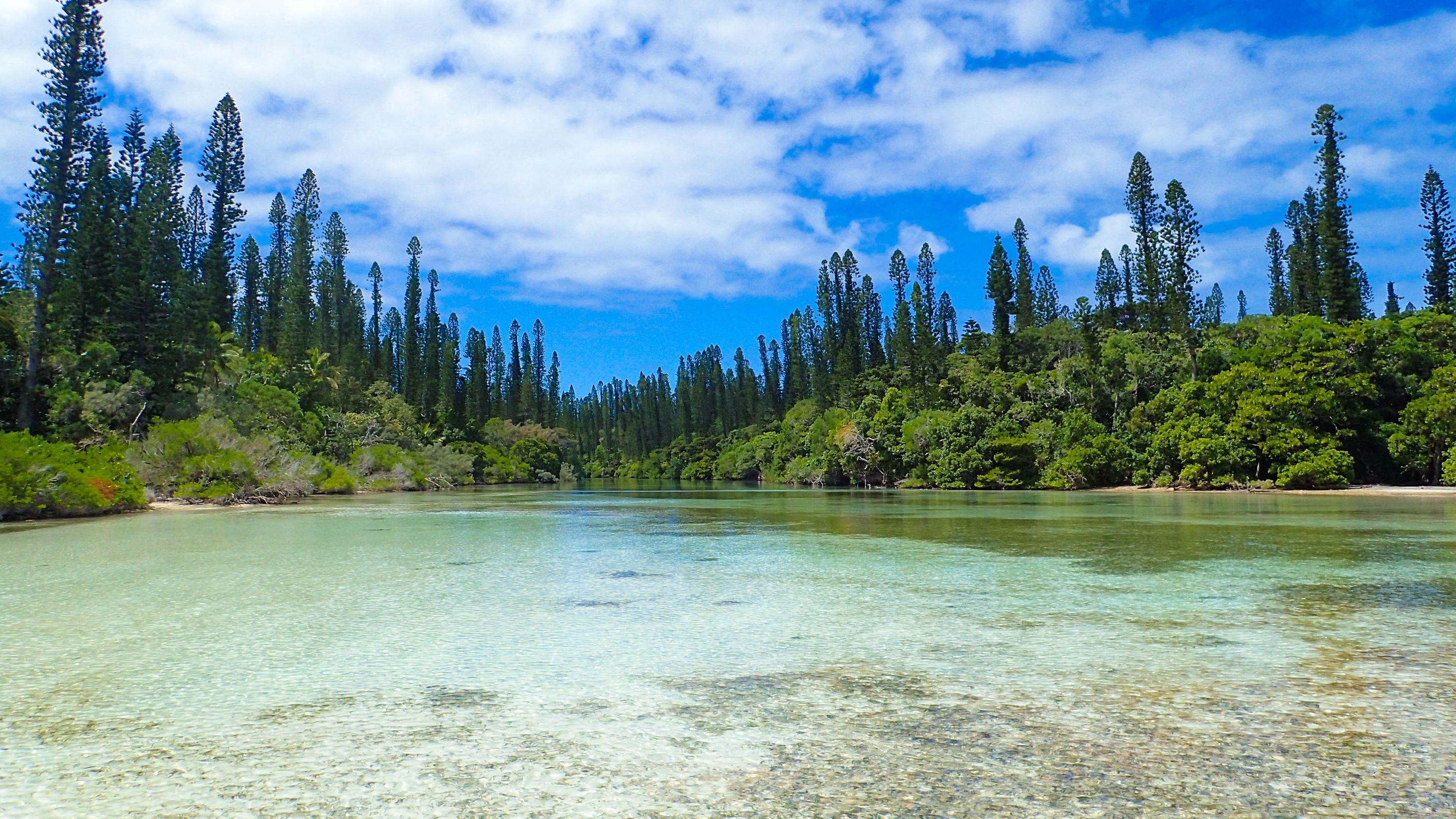 Natural Pool Above 2.jpg