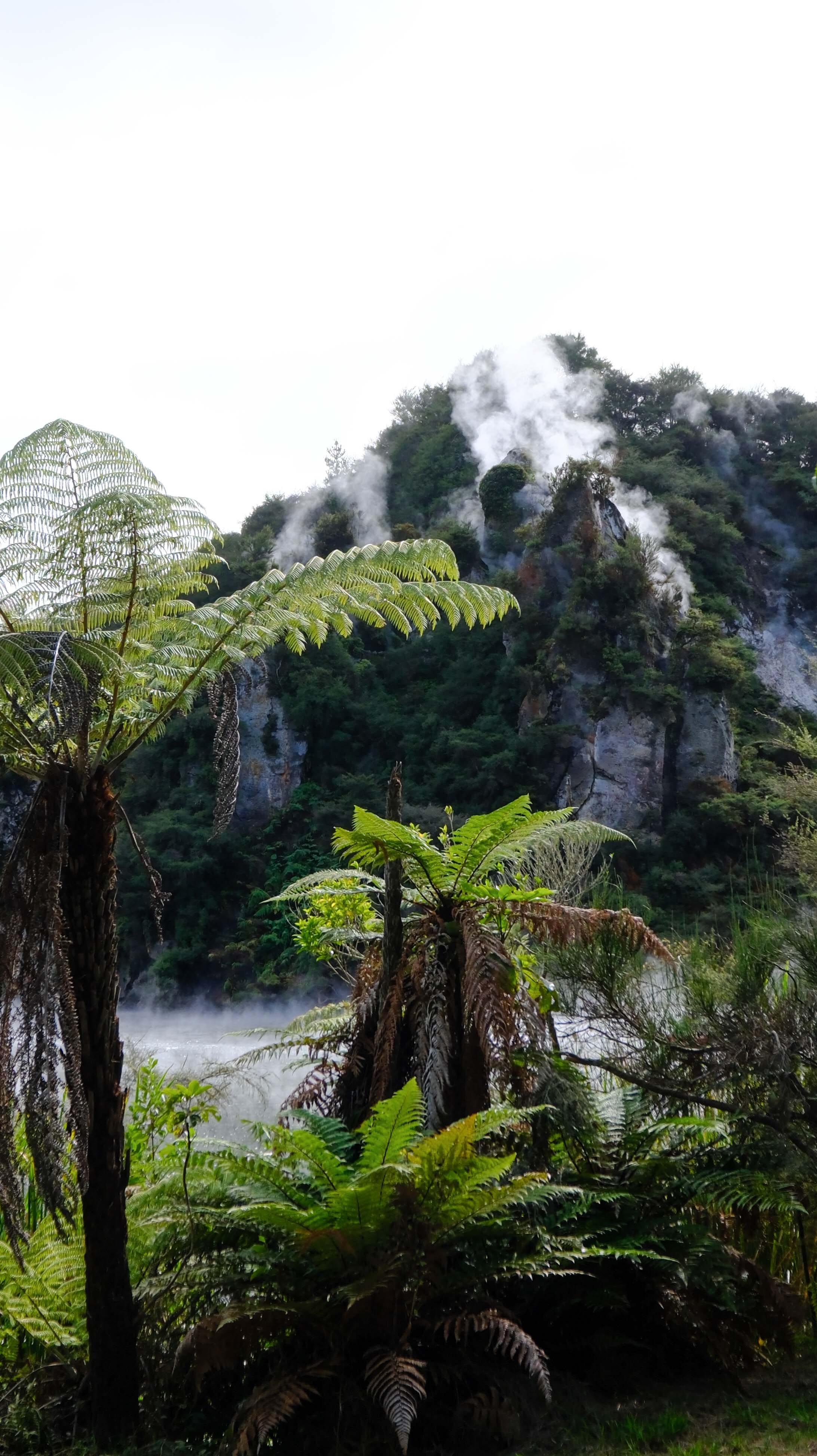 Waimangu - Frying pan Lake 2.jpg