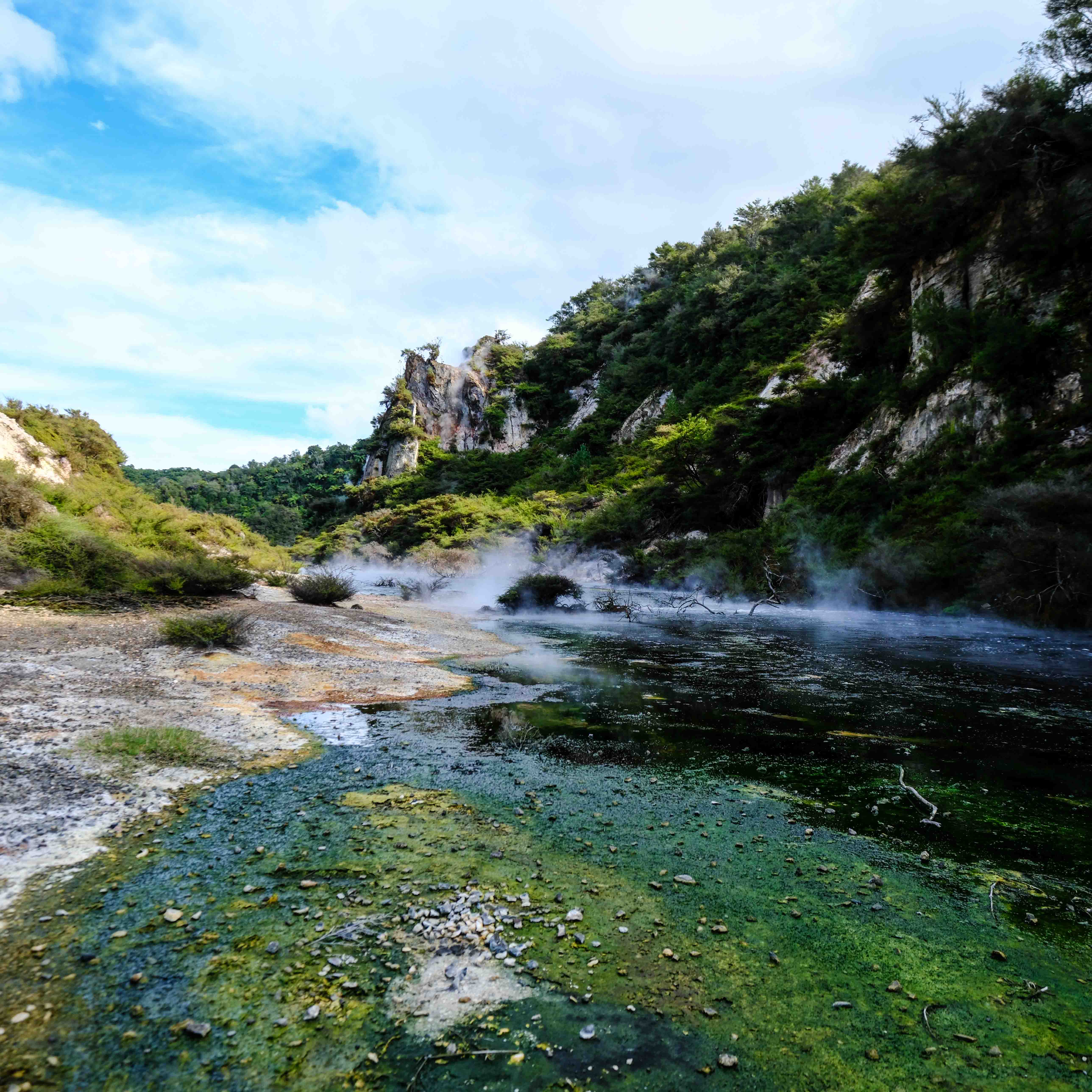 Waimangu - 2.jpg