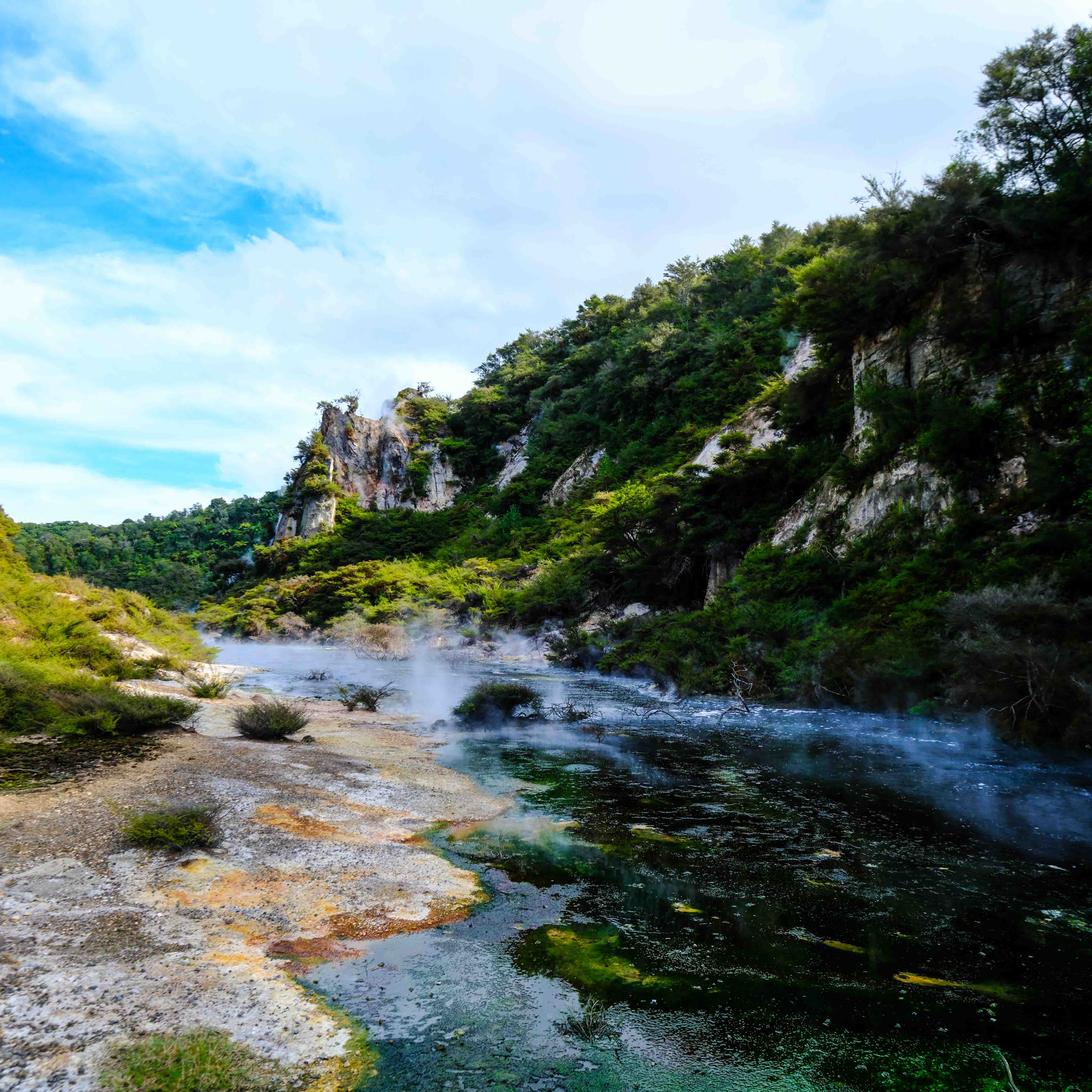 Waimangu -_.jpg