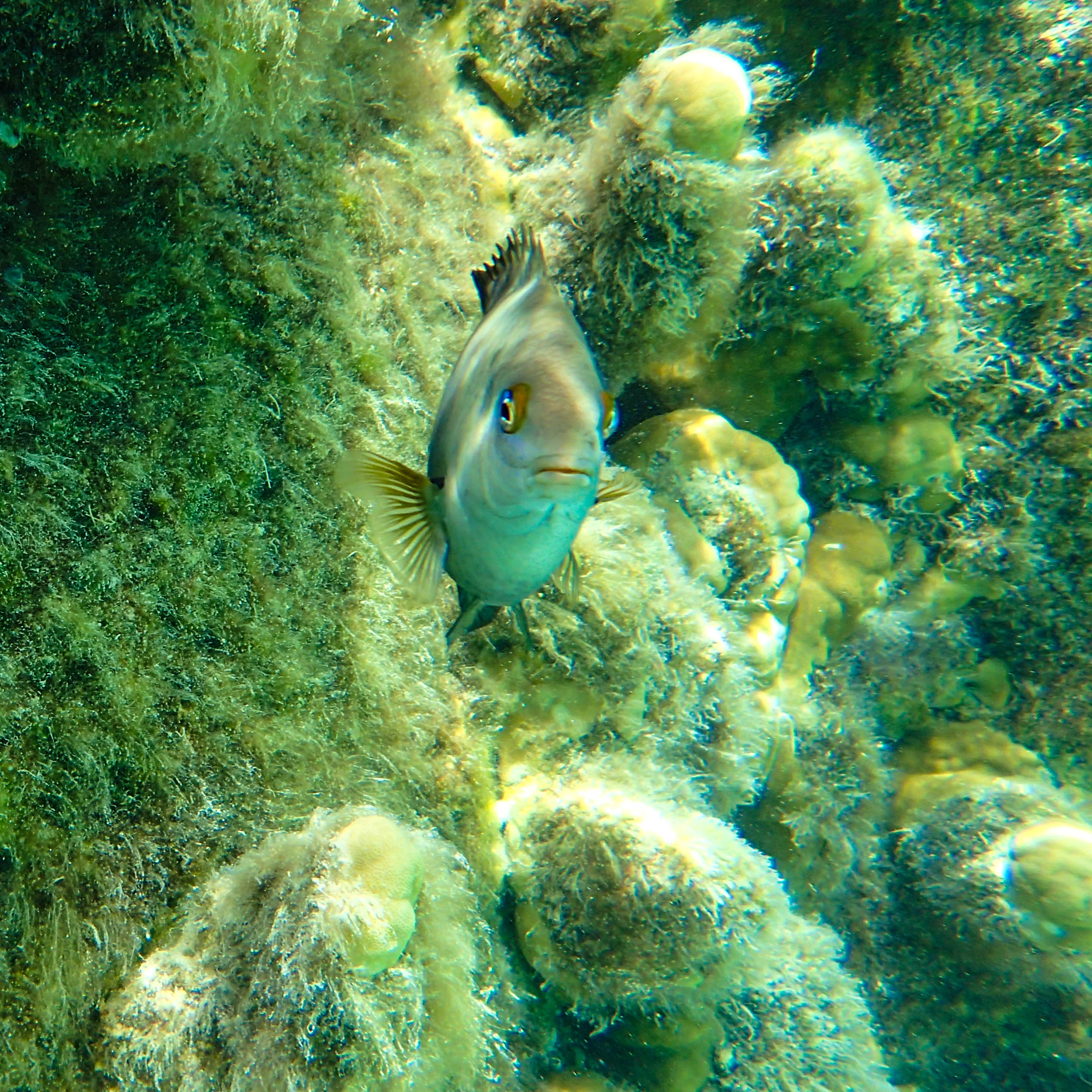 Natural Pool Below 4.jpg