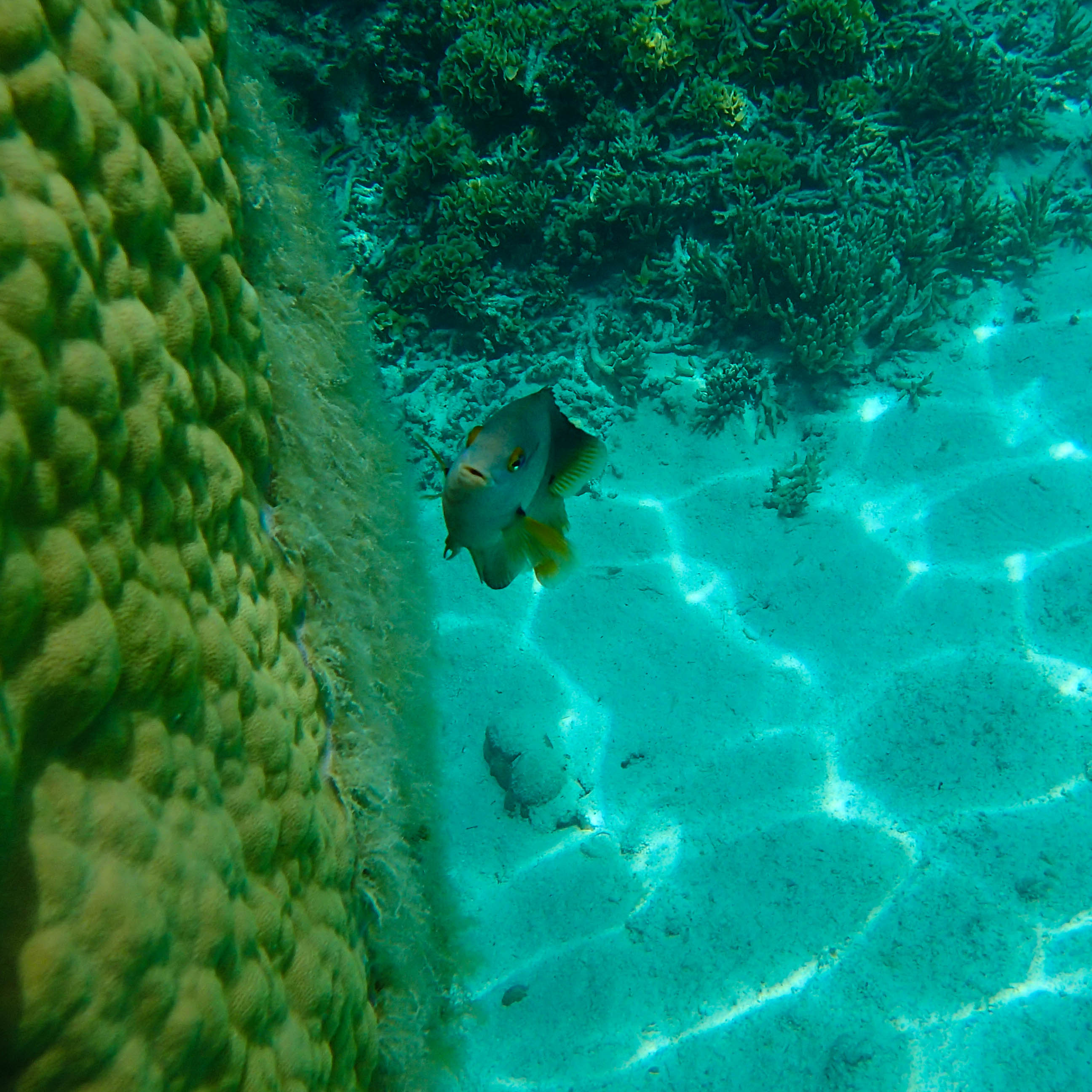 Natural Pool Below 5.jpg