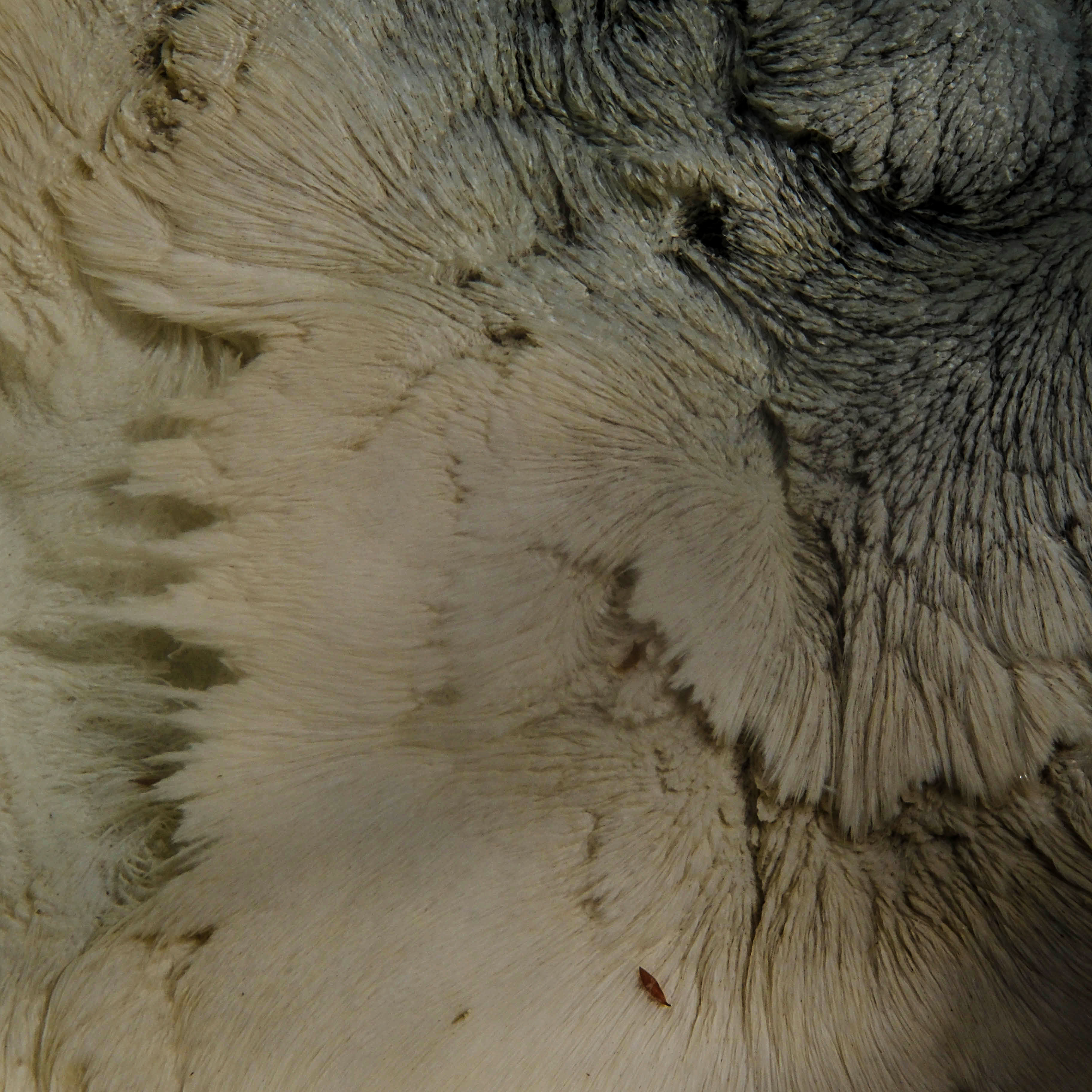 Abstract 2.jpg