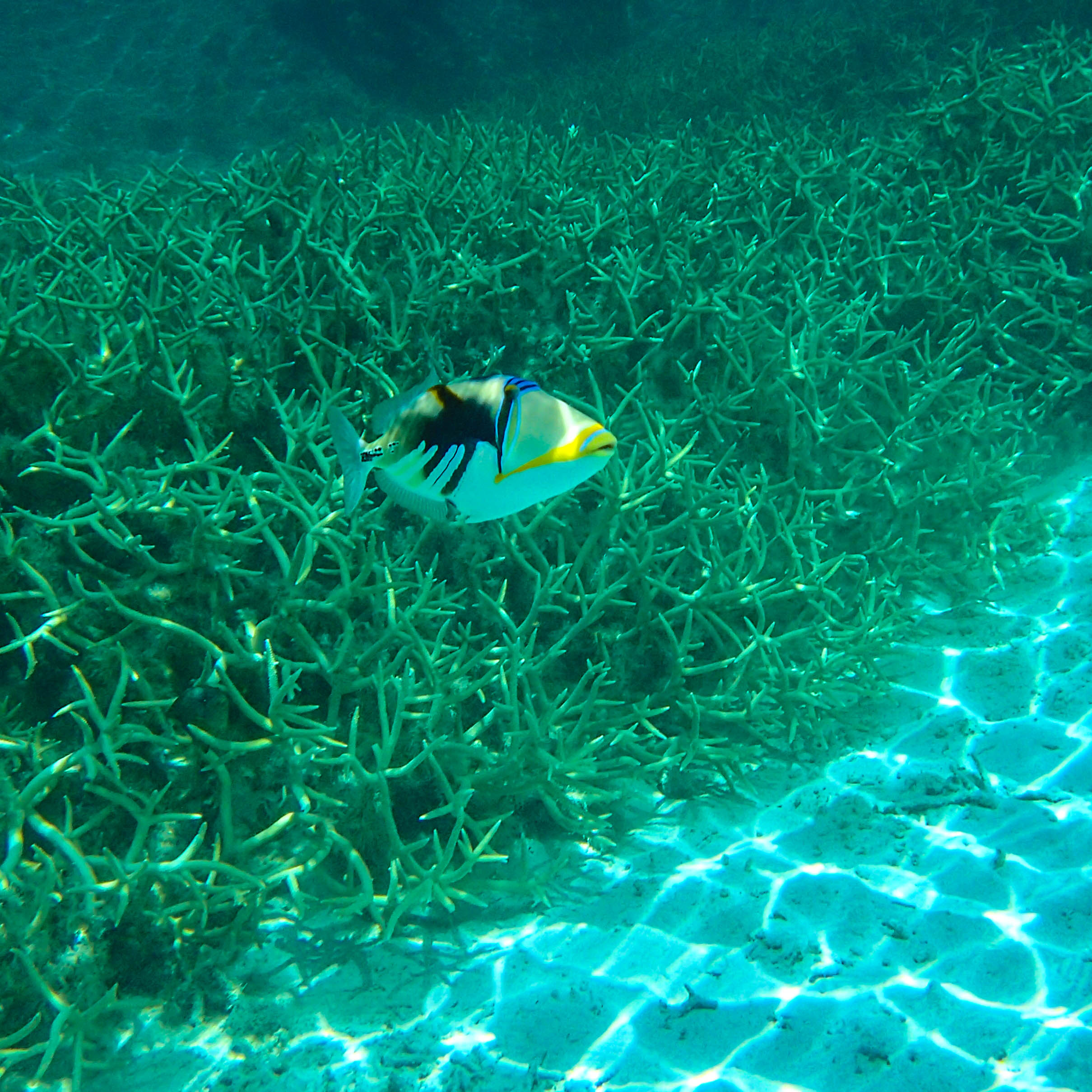 Natural Pool Below 6.jpg