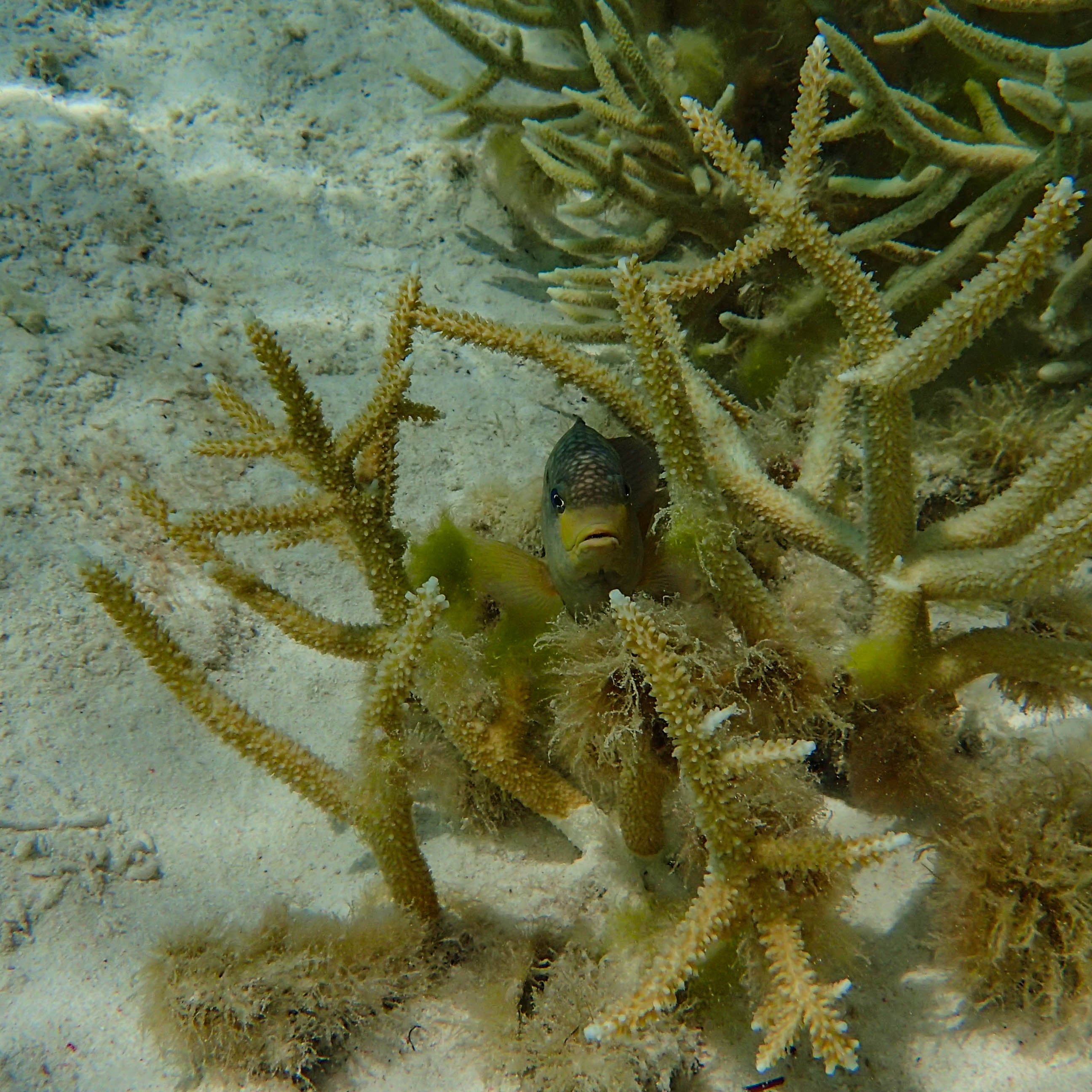 Natural Pool Below 3.jpg