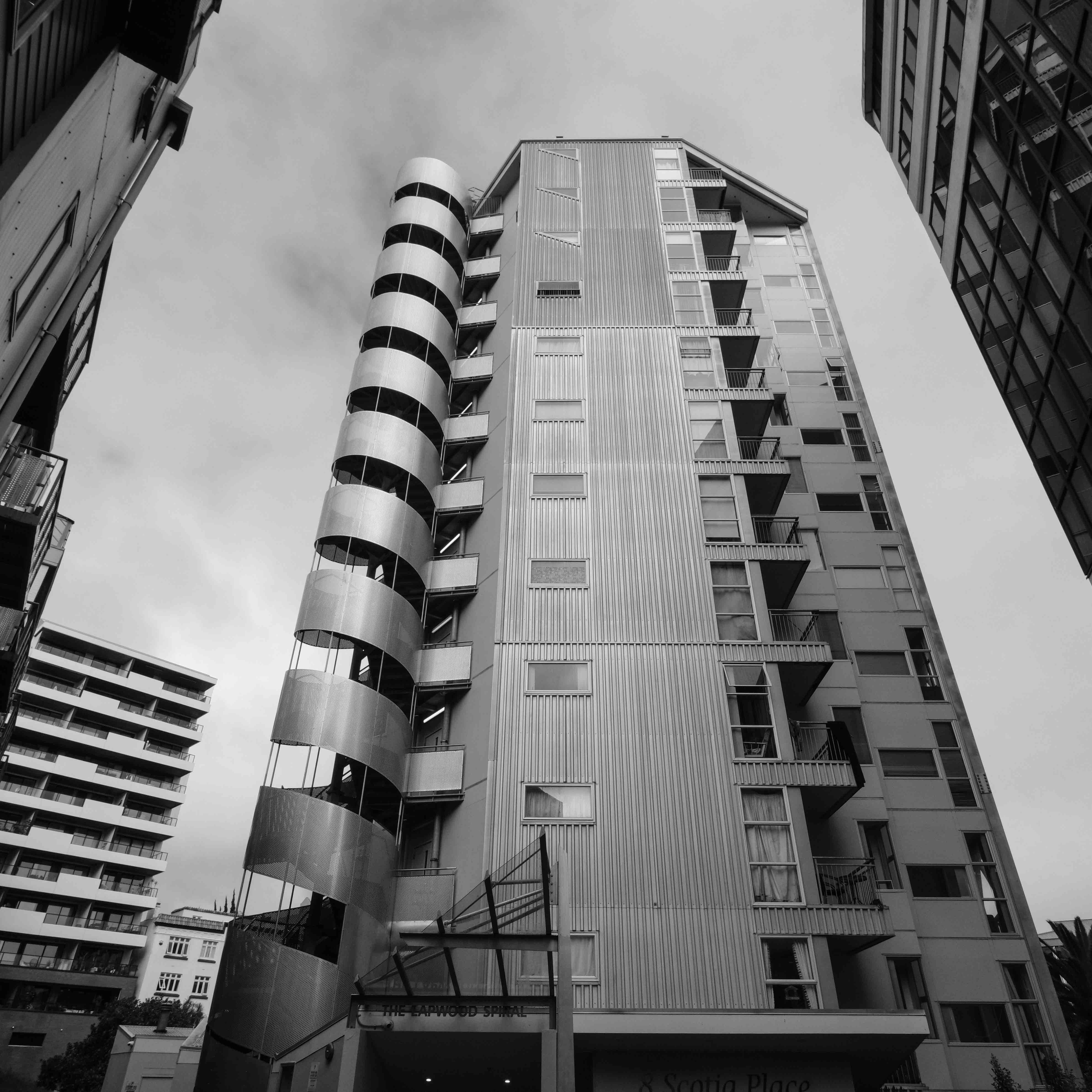 Auckland Grey 3.jpg