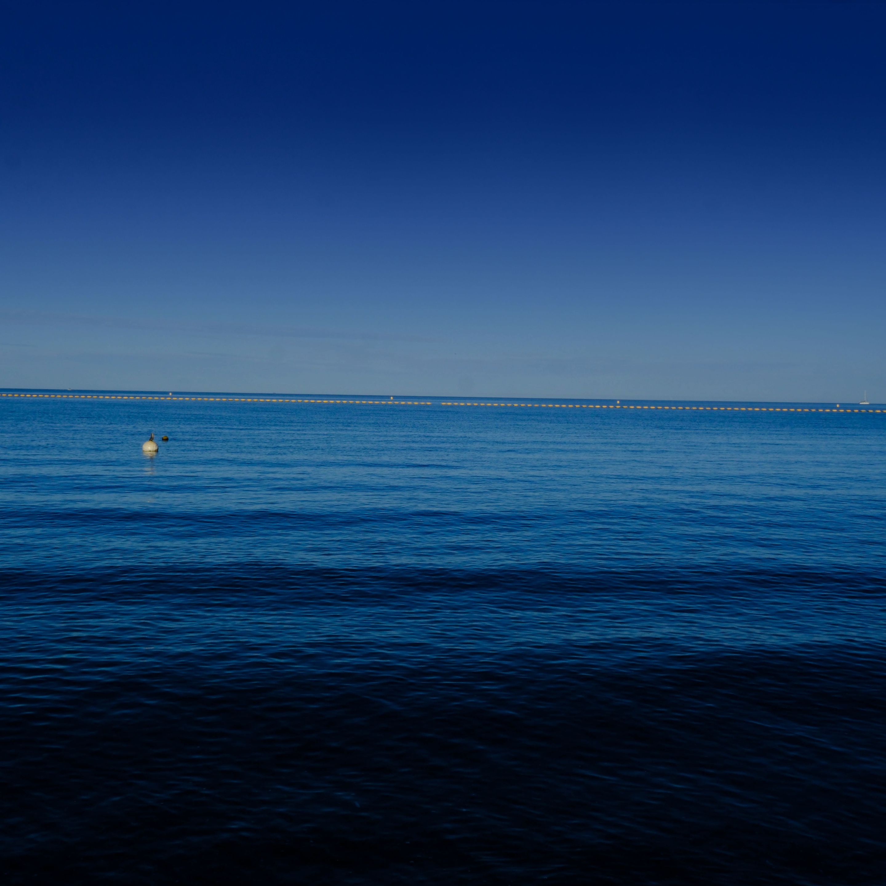 Lemon Bay square.jpg