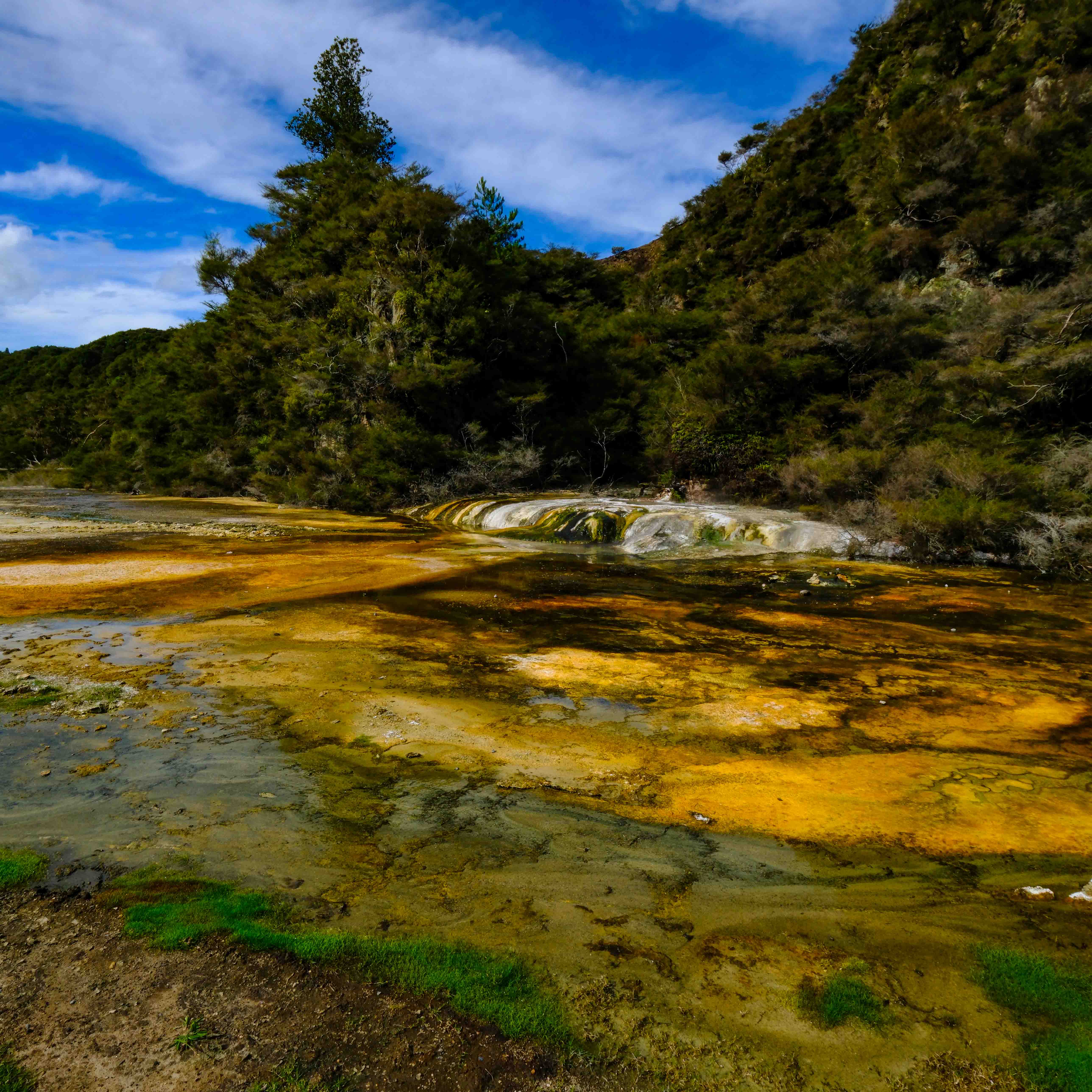 Waimangu - Warbrick Terrace 2.jpg