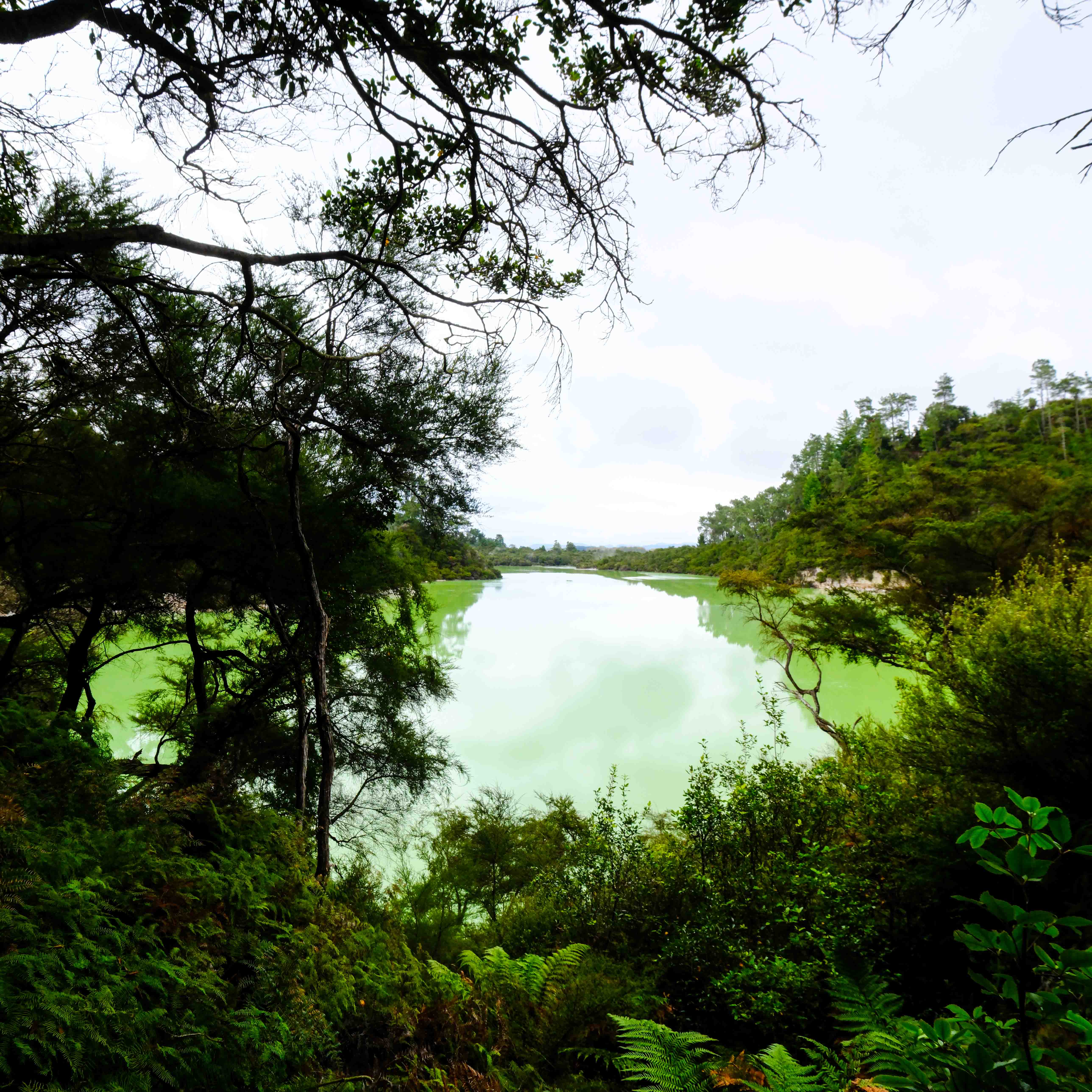 Waiotapu 4.jpg