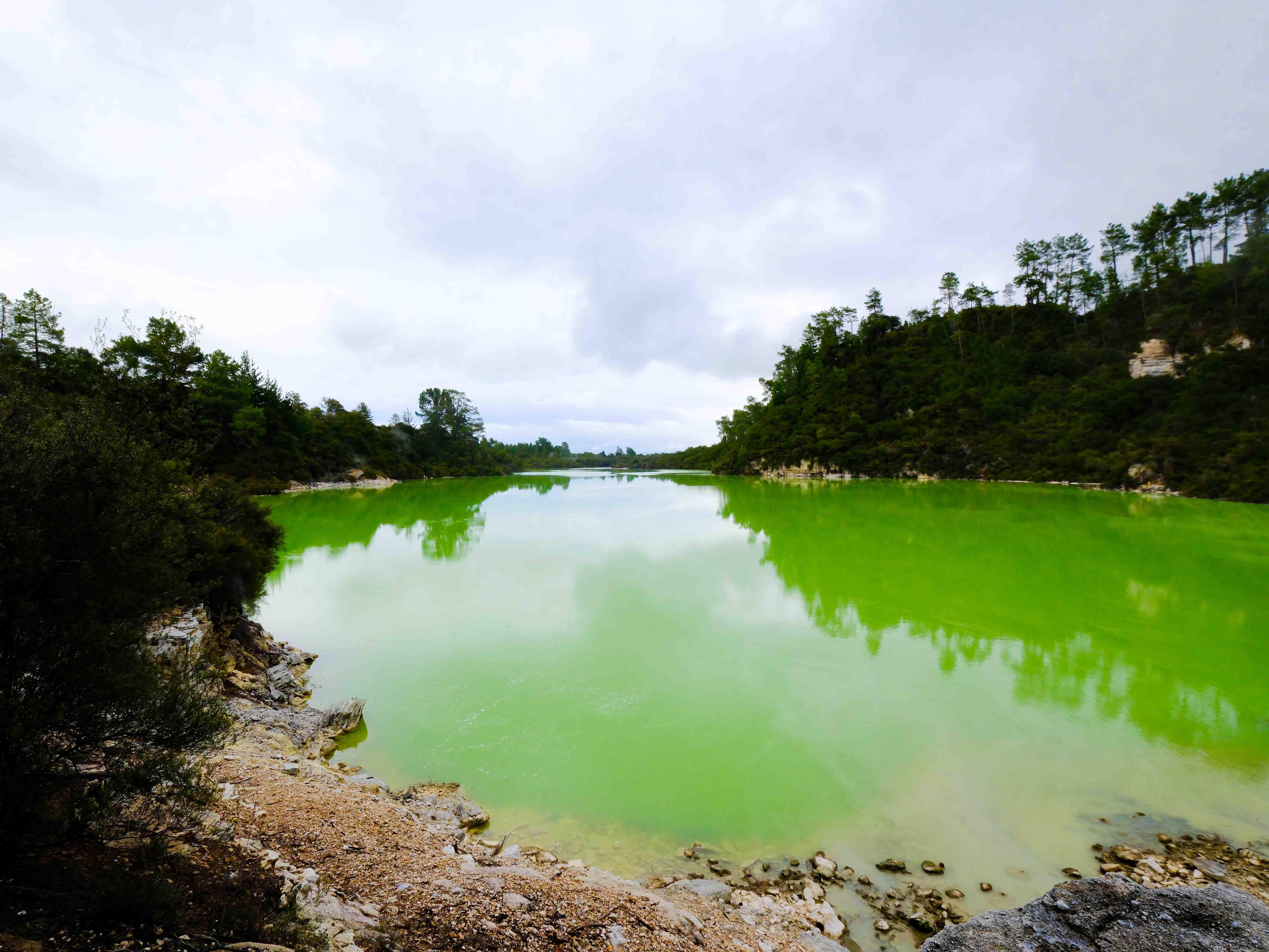 Waiotapu 3.jpg