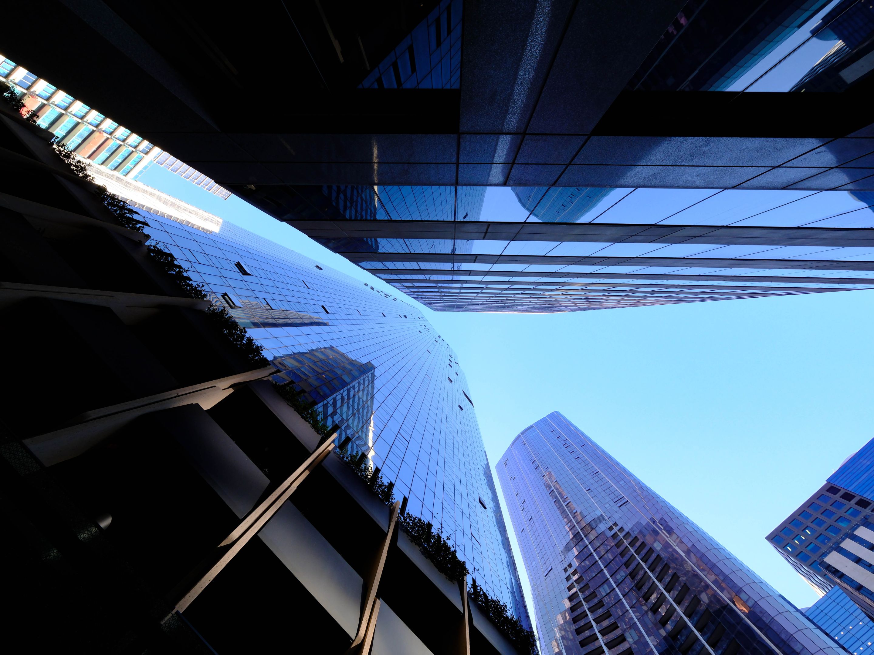 Skies 1.jpg