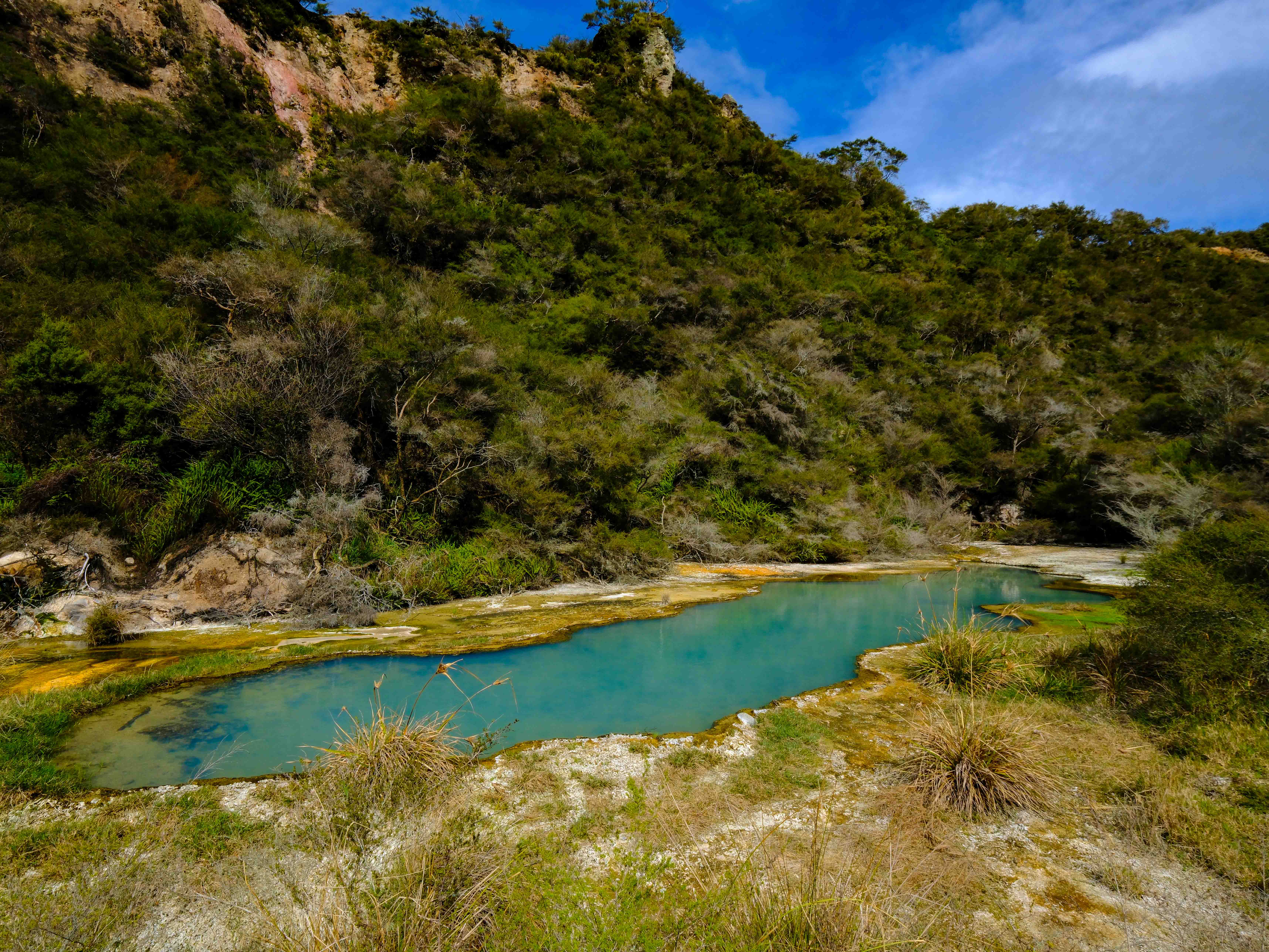 Waimangu - Blue lake 3.jpg