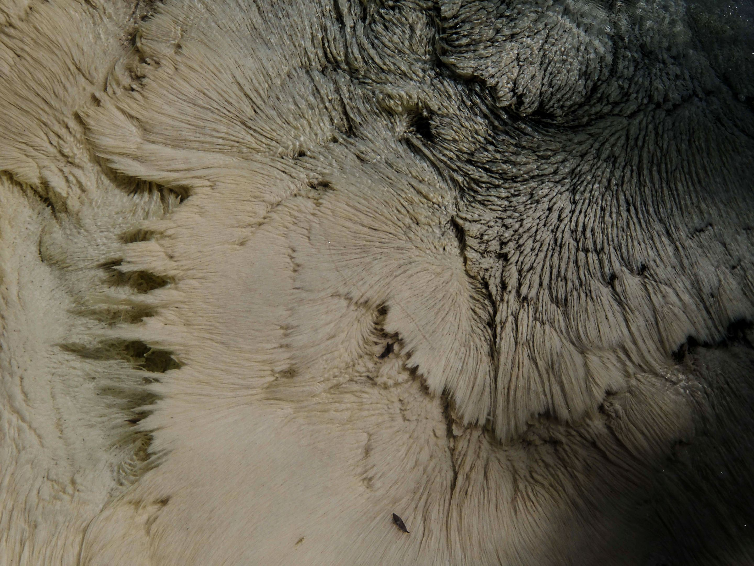 Abstract 3.jpg