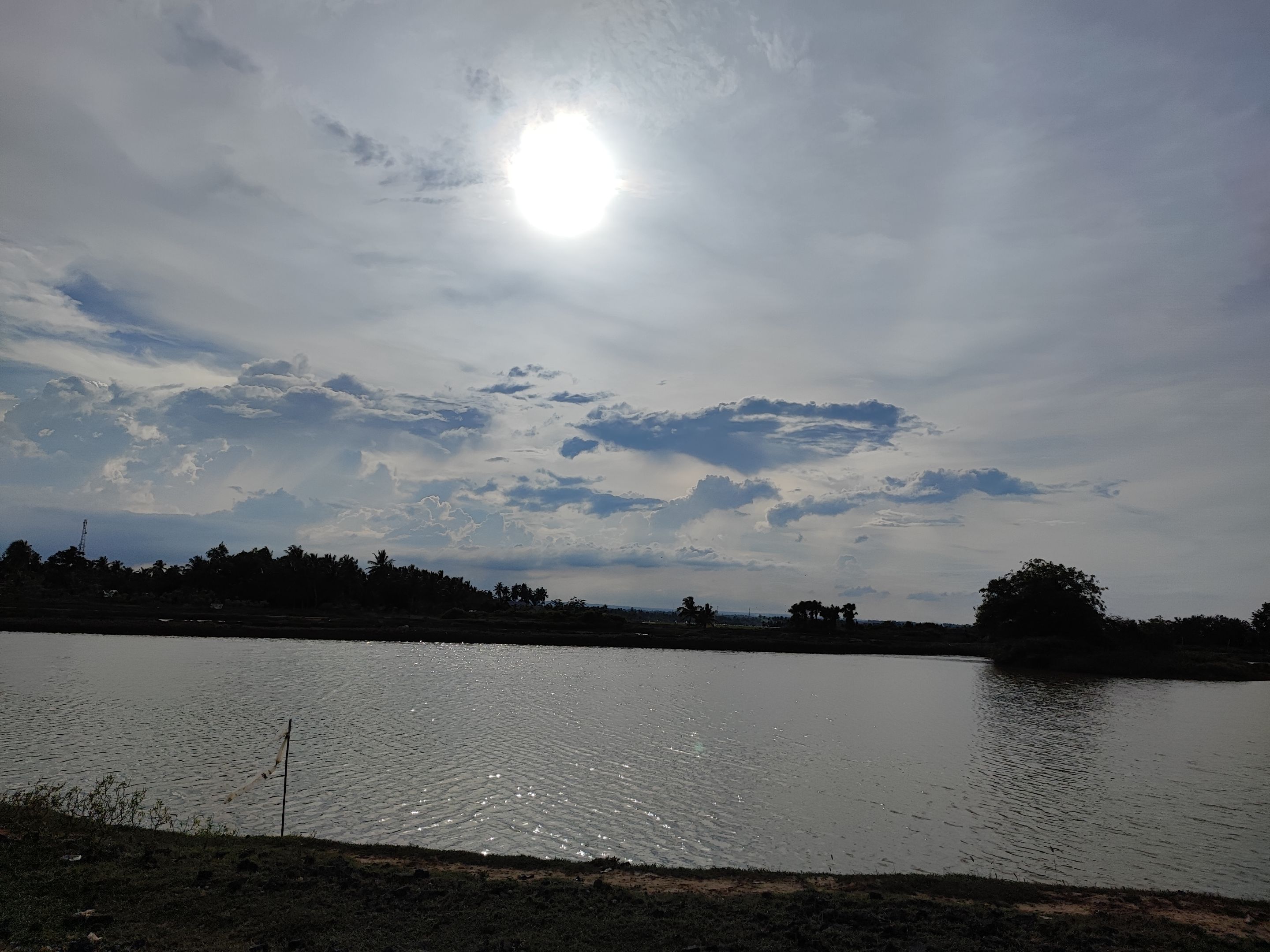 IMG_20211123_161444.jpg