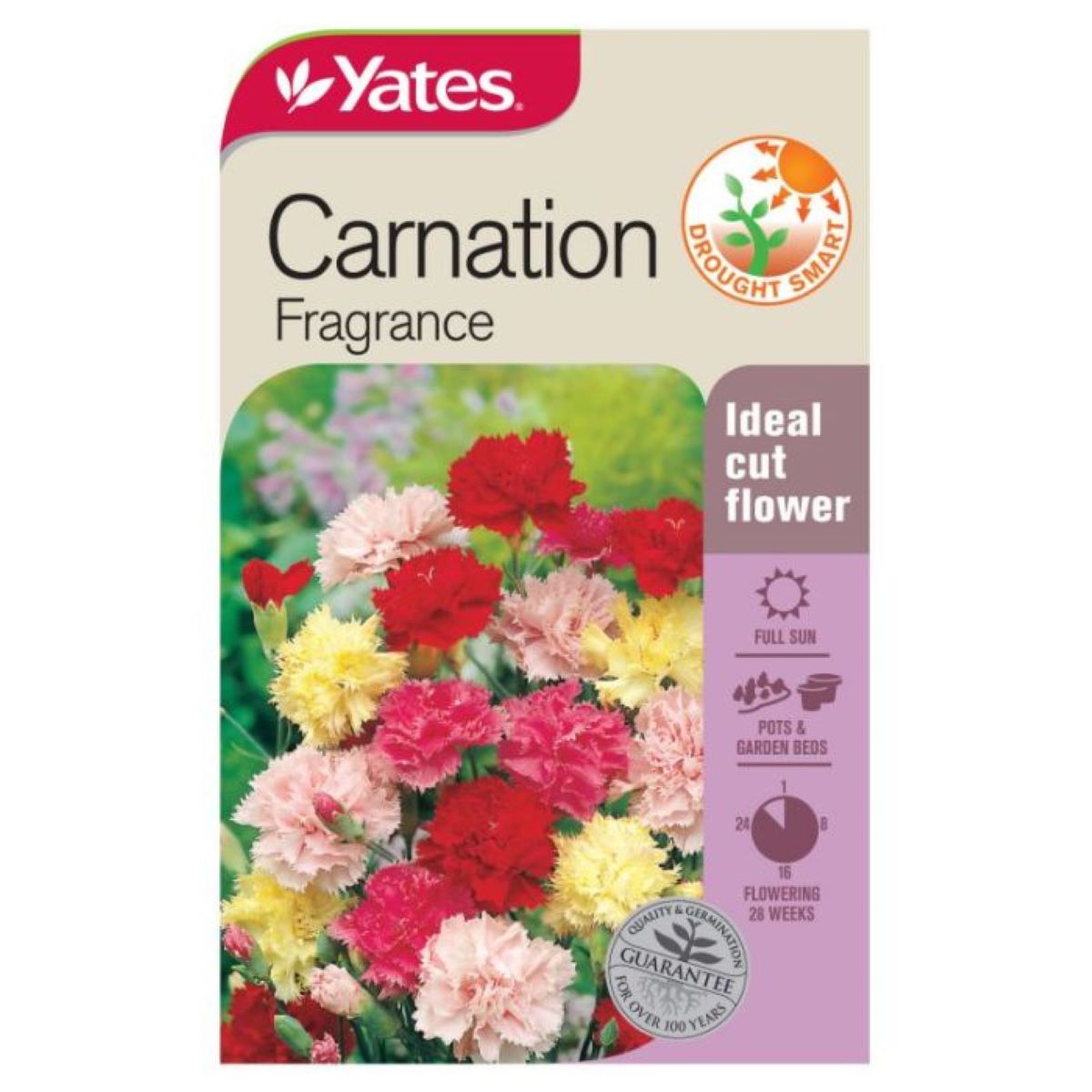 18846_carnation-fragrance_fop.jpg