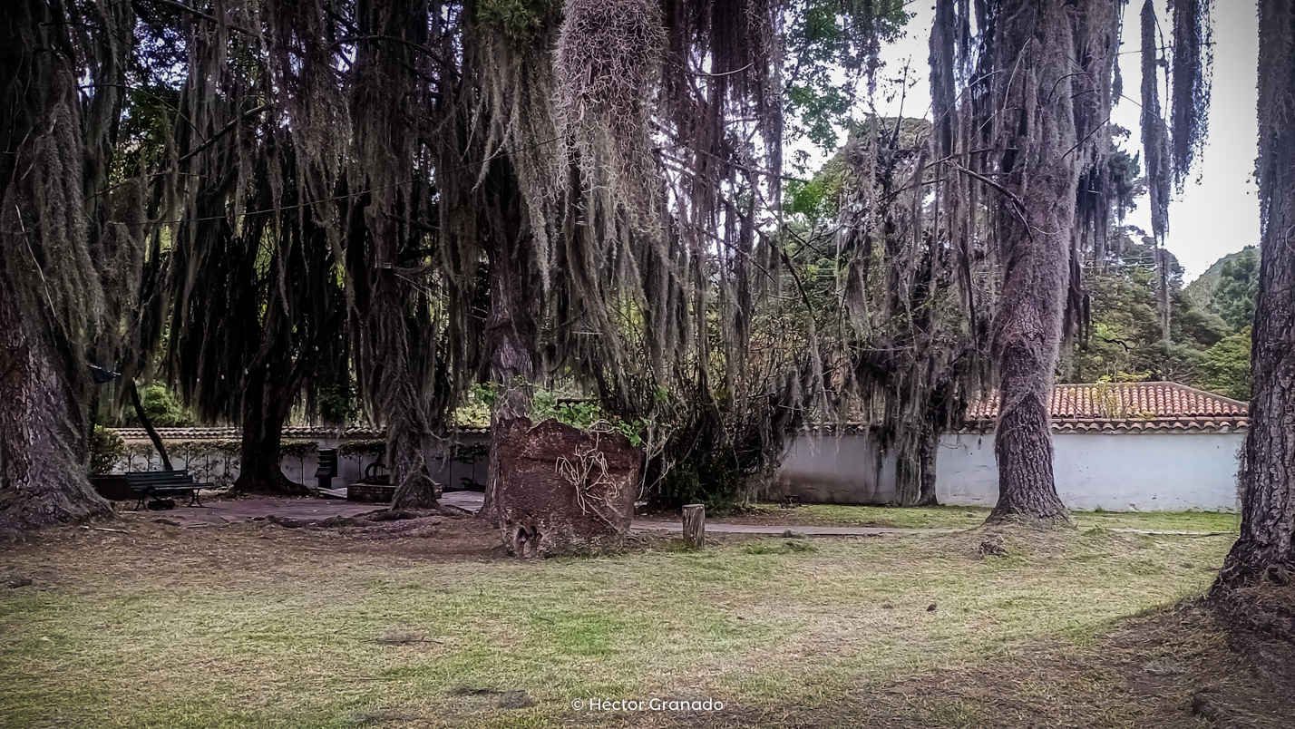 IMG_20250530_153033617_MFNR.png