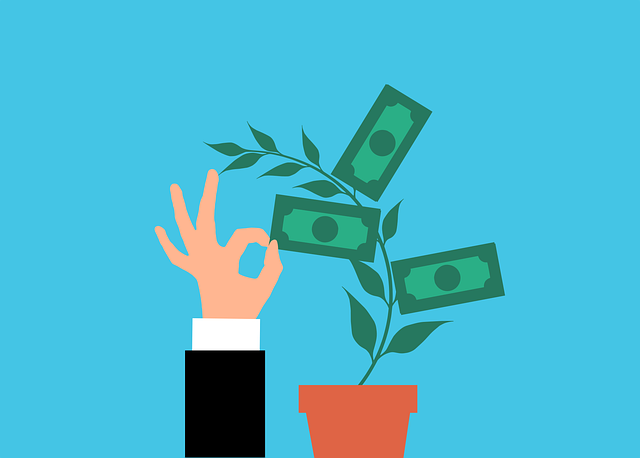 money-6626359_640.png