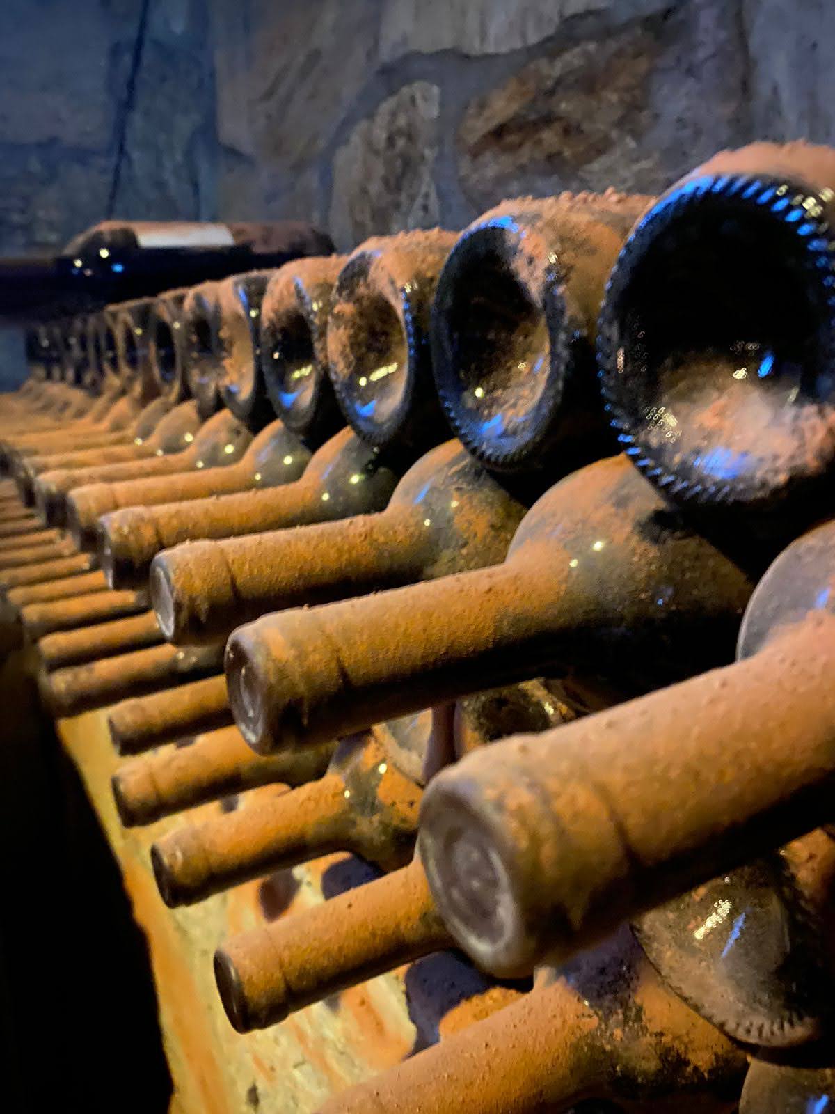 rota do vinho 15.jpg