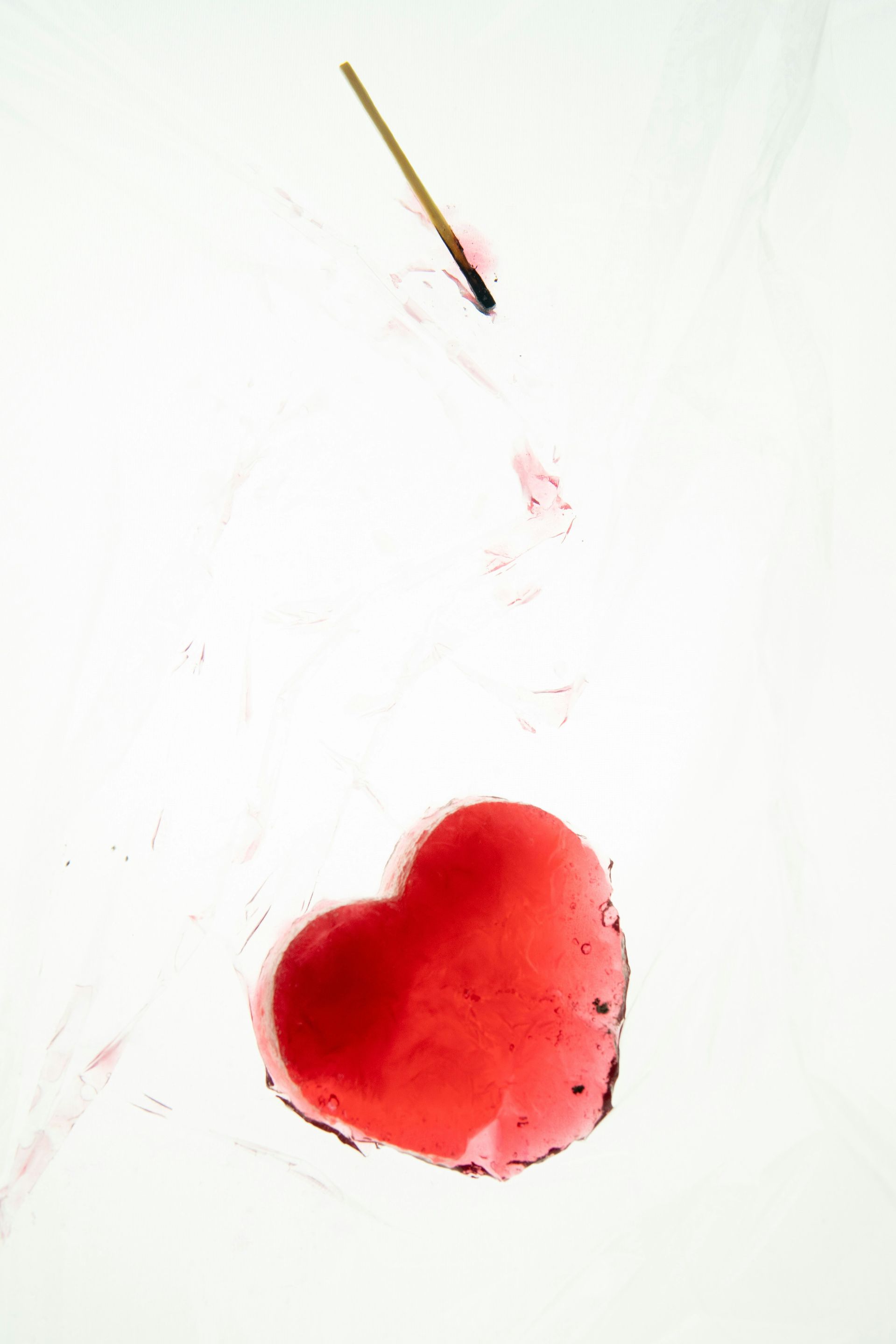 seiji-seiji-4gl_RSktWqI-unsplash.jpg
