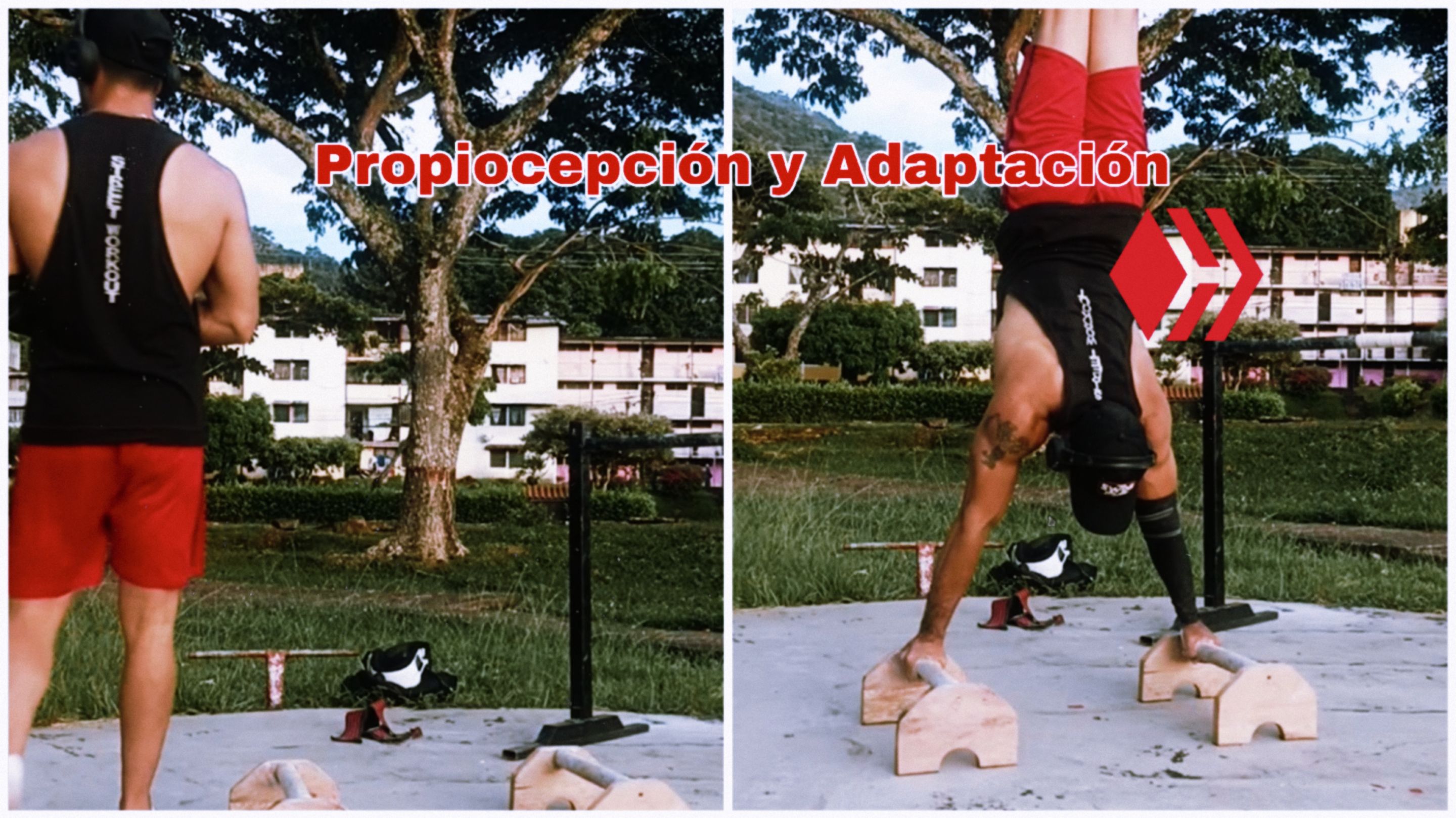 Picsart_25-09-23_13-36-50-424.jpg